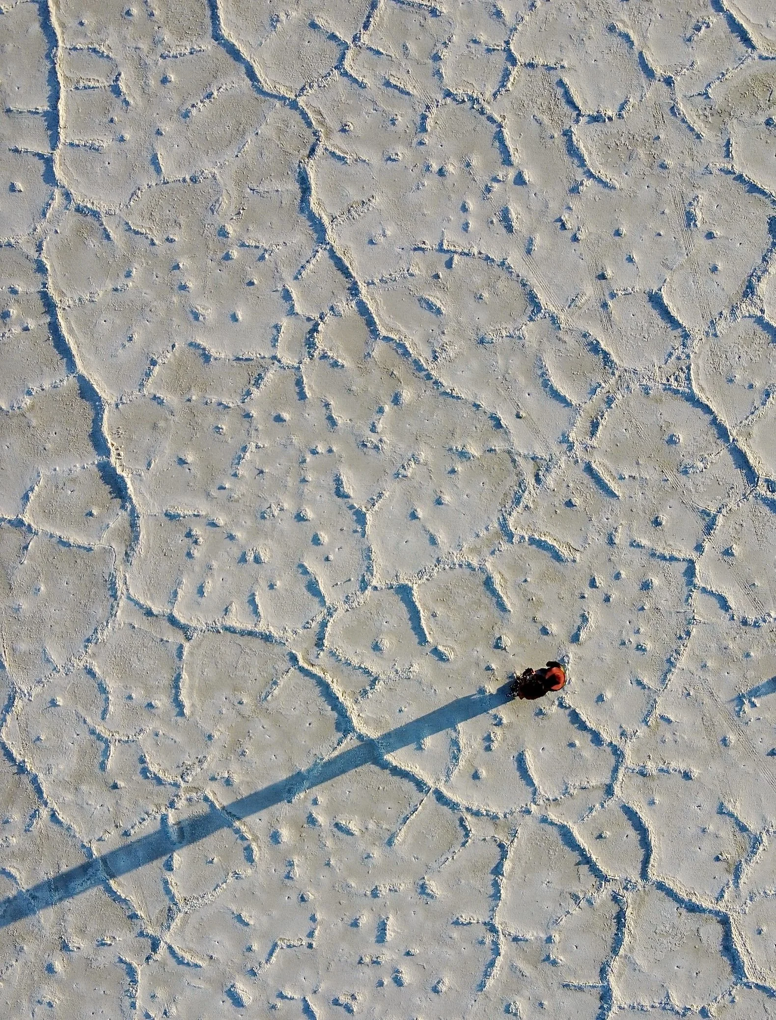 Salt Flats