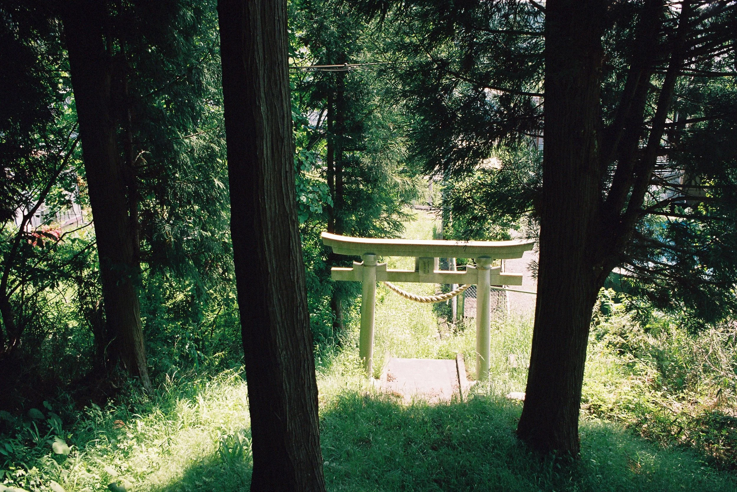Why Northern Japan Is Worth Visiting