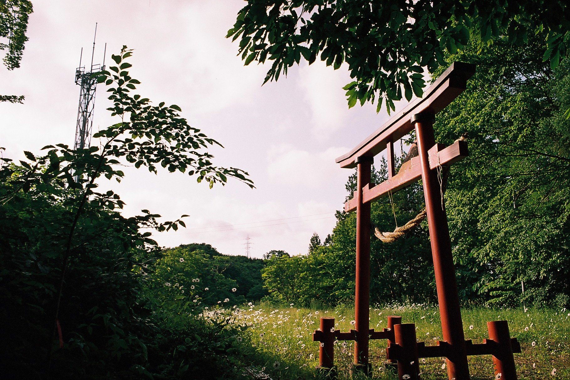 Hidden Shrines of Iwate, Between Moss and the Gods: Kagura and the Shrines of Ichinohe