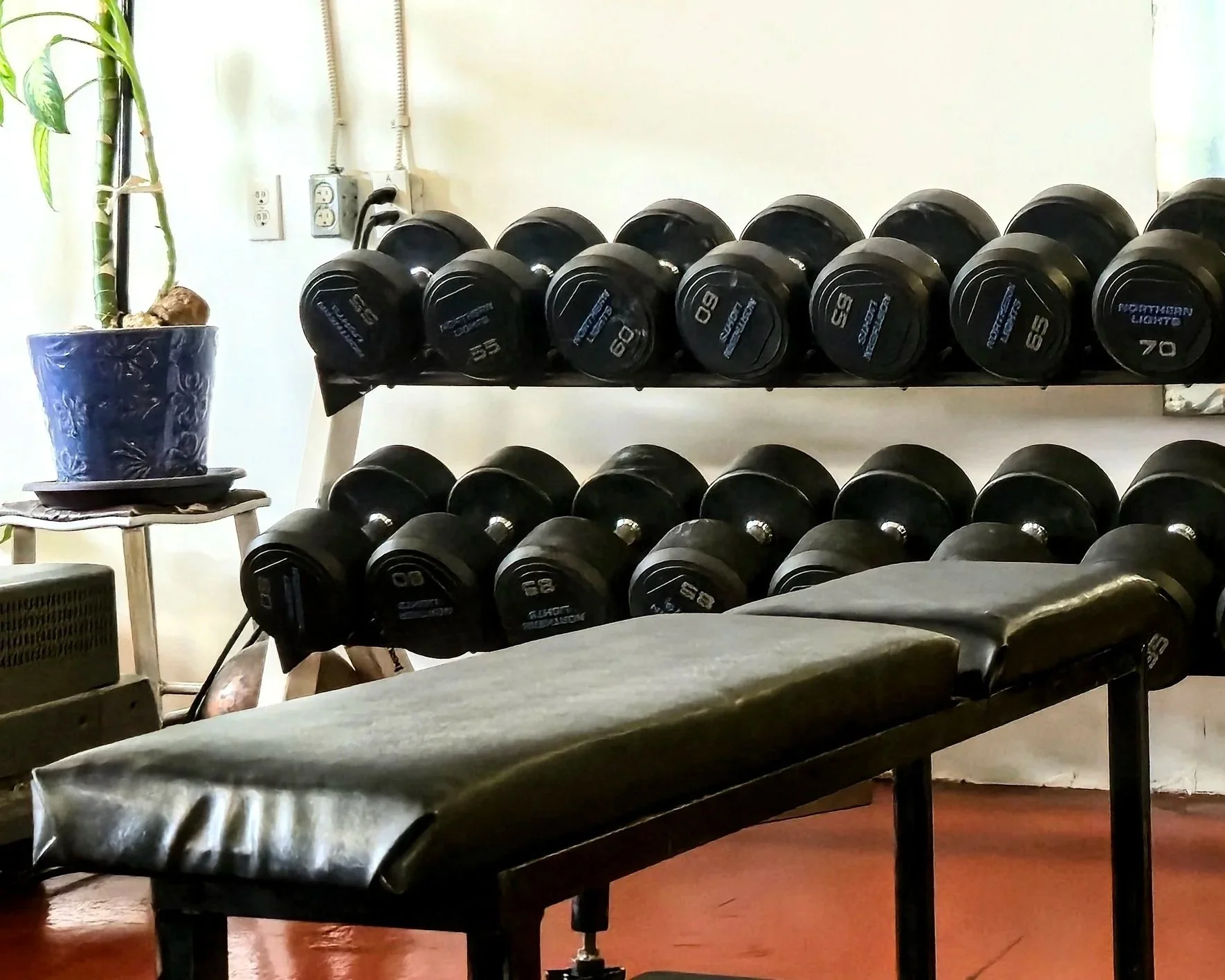 Black dumbbells on a rack, a padded massage table in the foreground, a potted plant on a small table to the left, and electrical outlets on the wall in the background.