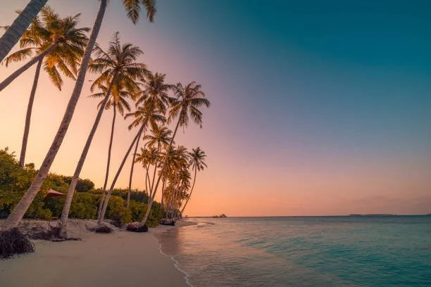 Renewed By The Shore