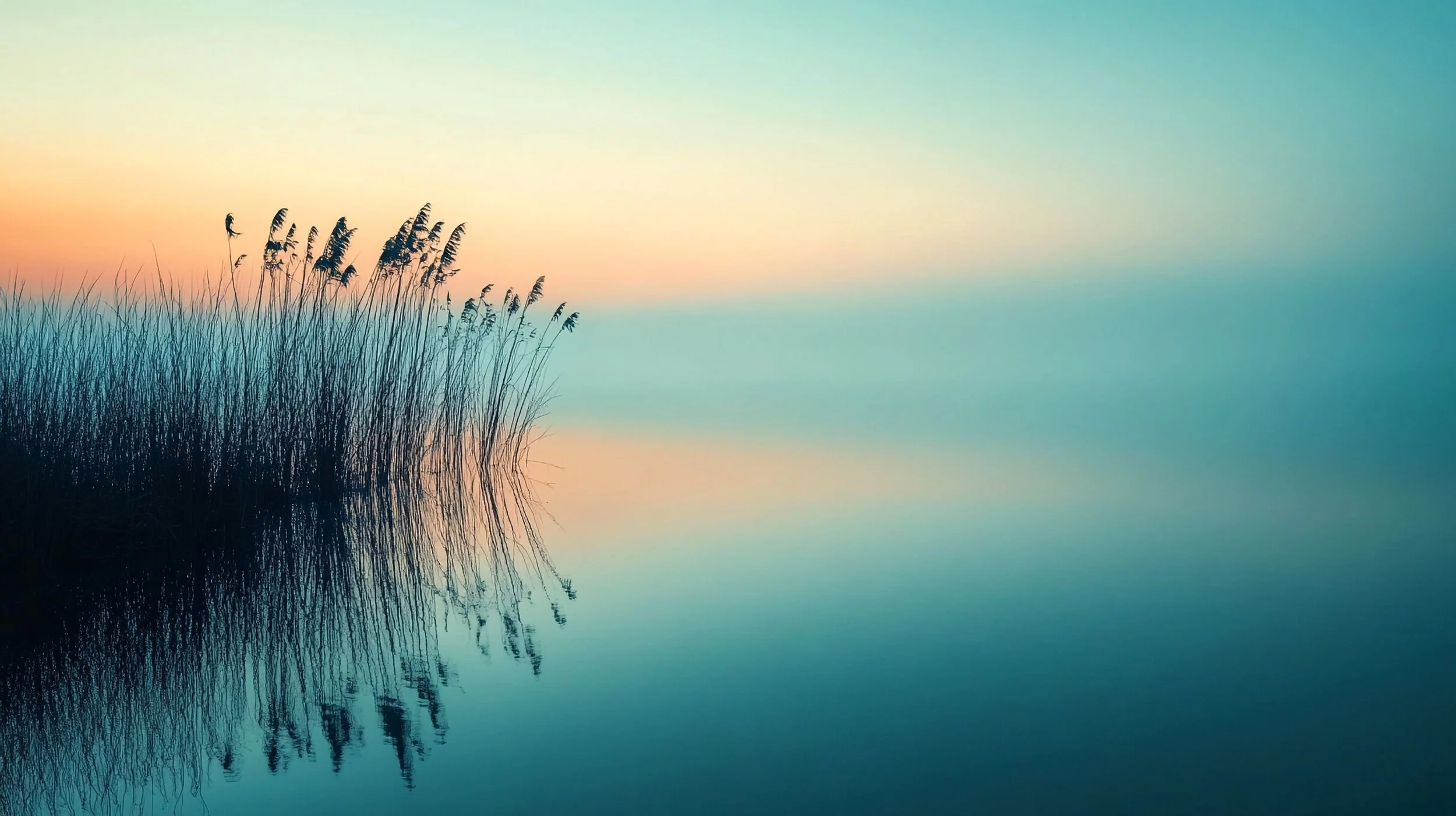 The SereneMoment Program:Grief and Traumatic Loss