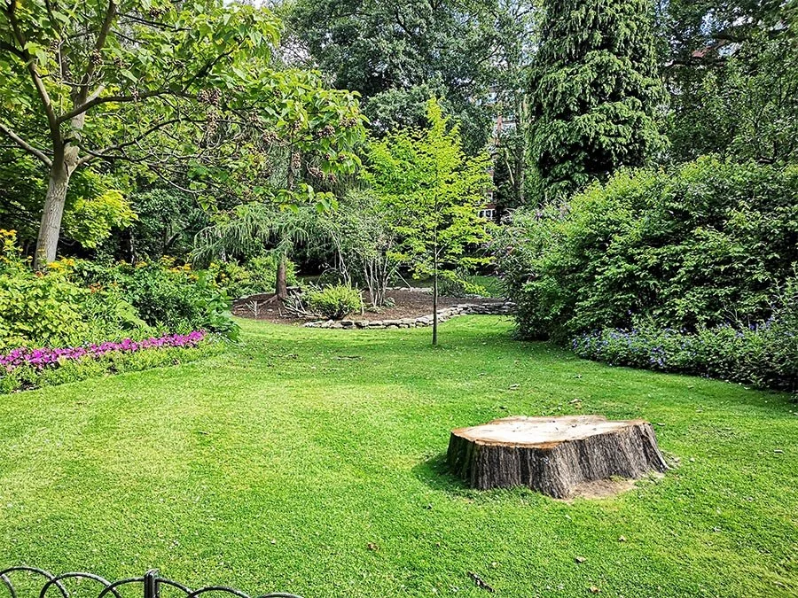 Lush green garden with trees, shrubs, colorful flowers, a large tree stump, and a small lamppost.