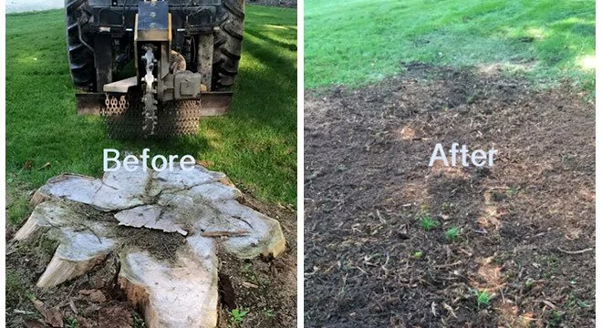 Side-by-side comparison of a garden area before and after clearing. The 'Before' image shows a large stone or tree stump being cut or removed with a tractor, and the 'After' image shows the cleared ground with some small green plants growing.