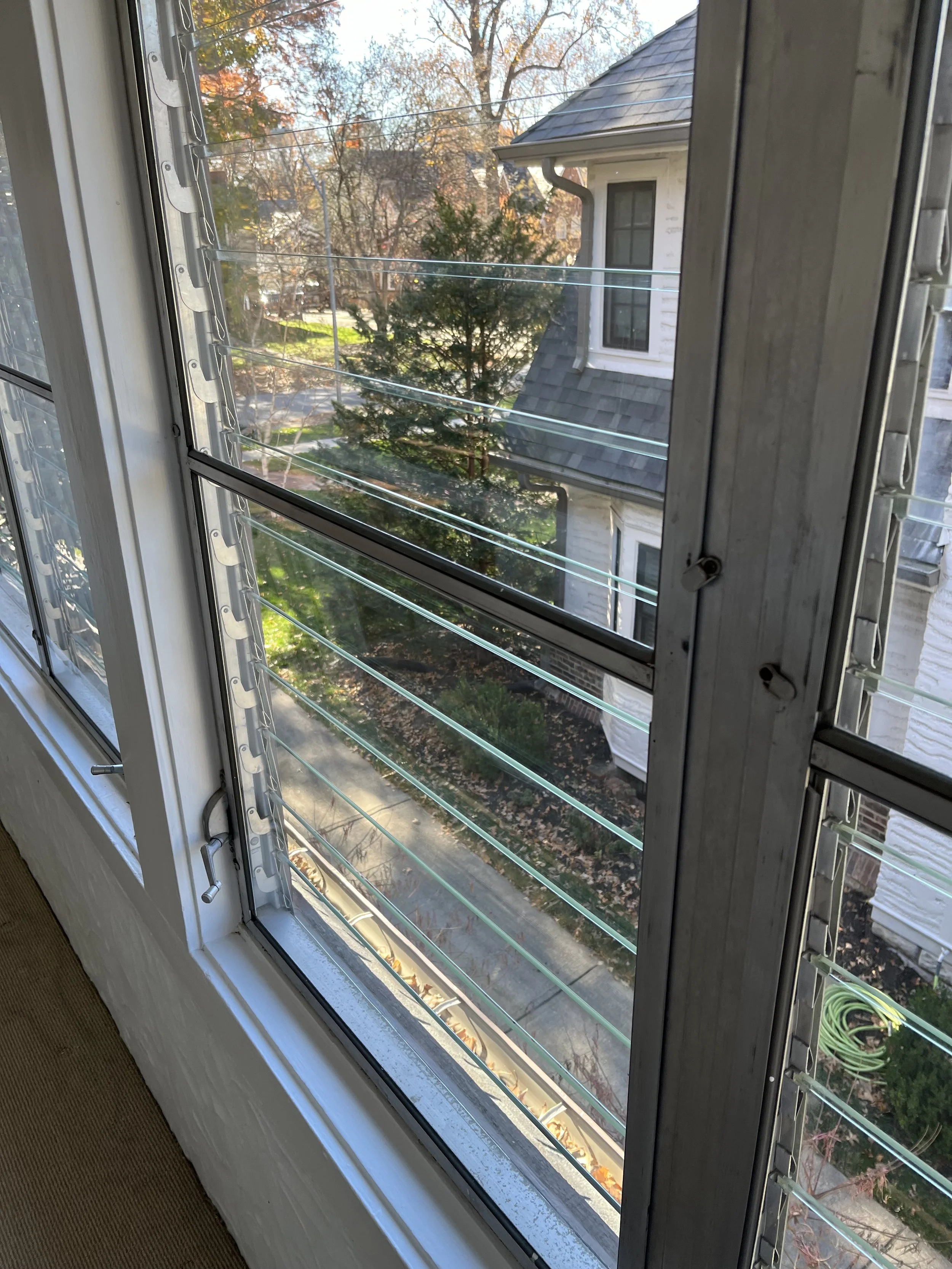 View through an open window with metal blinds showing a tree-lined street with houses and autumn leaves.