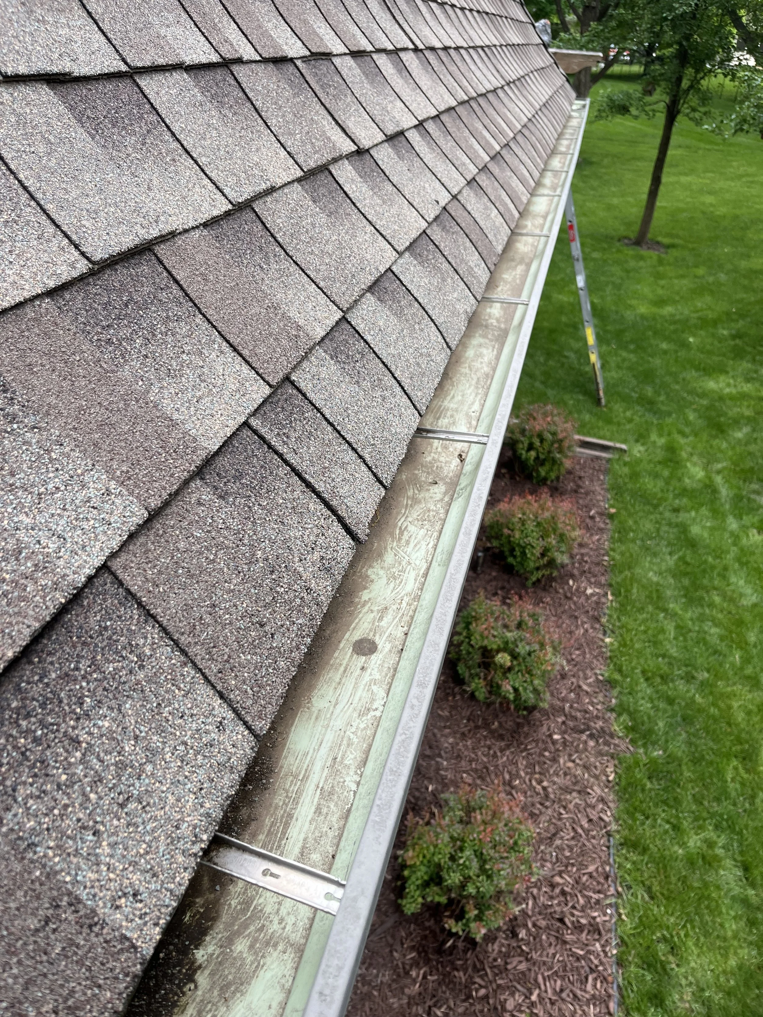 Close-up view of a roof gutter along the edge of a shingled roof, with a ladder and a lawn with bushes in the background.