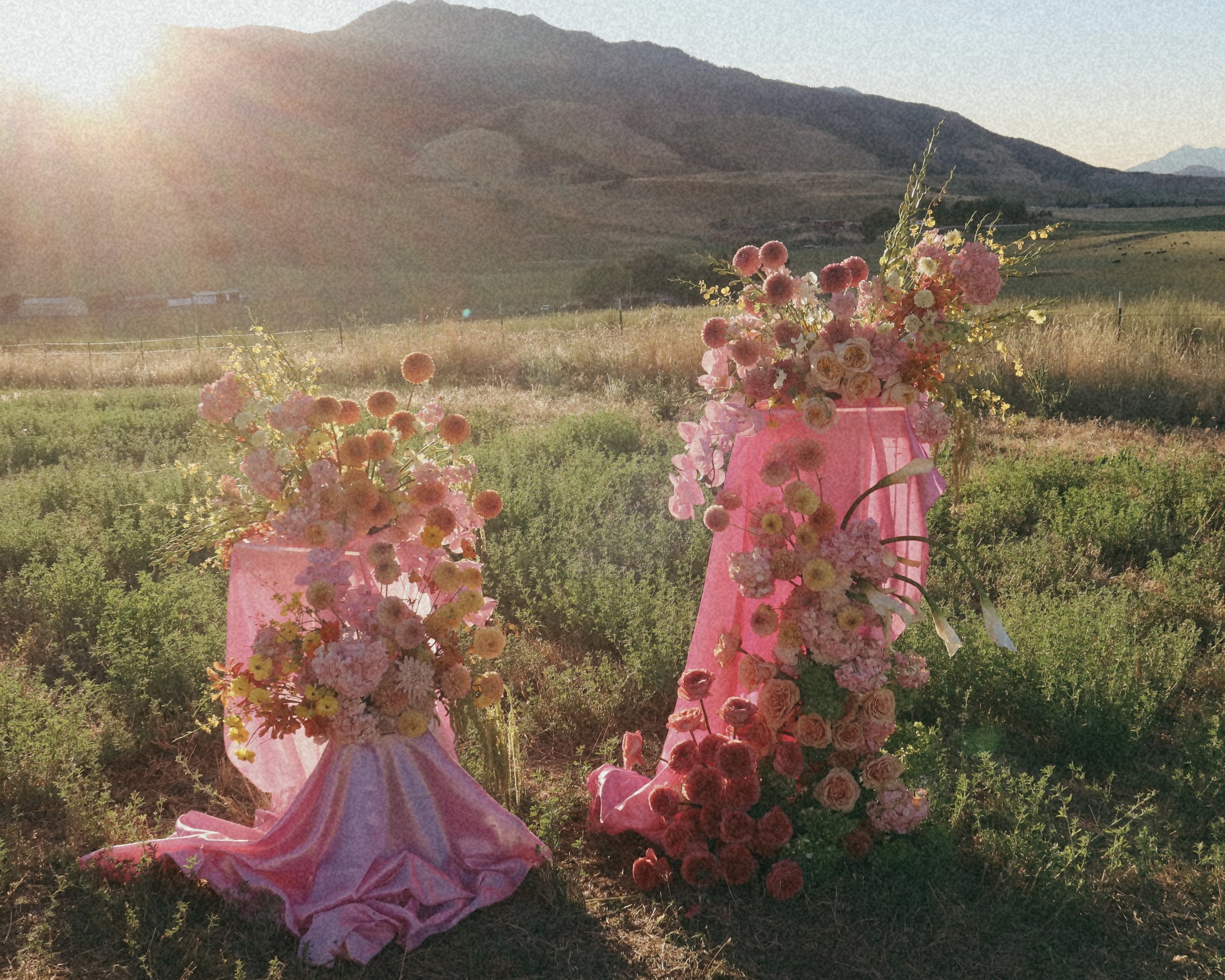 A bouquet of various pink and peach flowers wrapped in pink paper, set outdoors in a field with mountains in the background and the sun shining brightly.