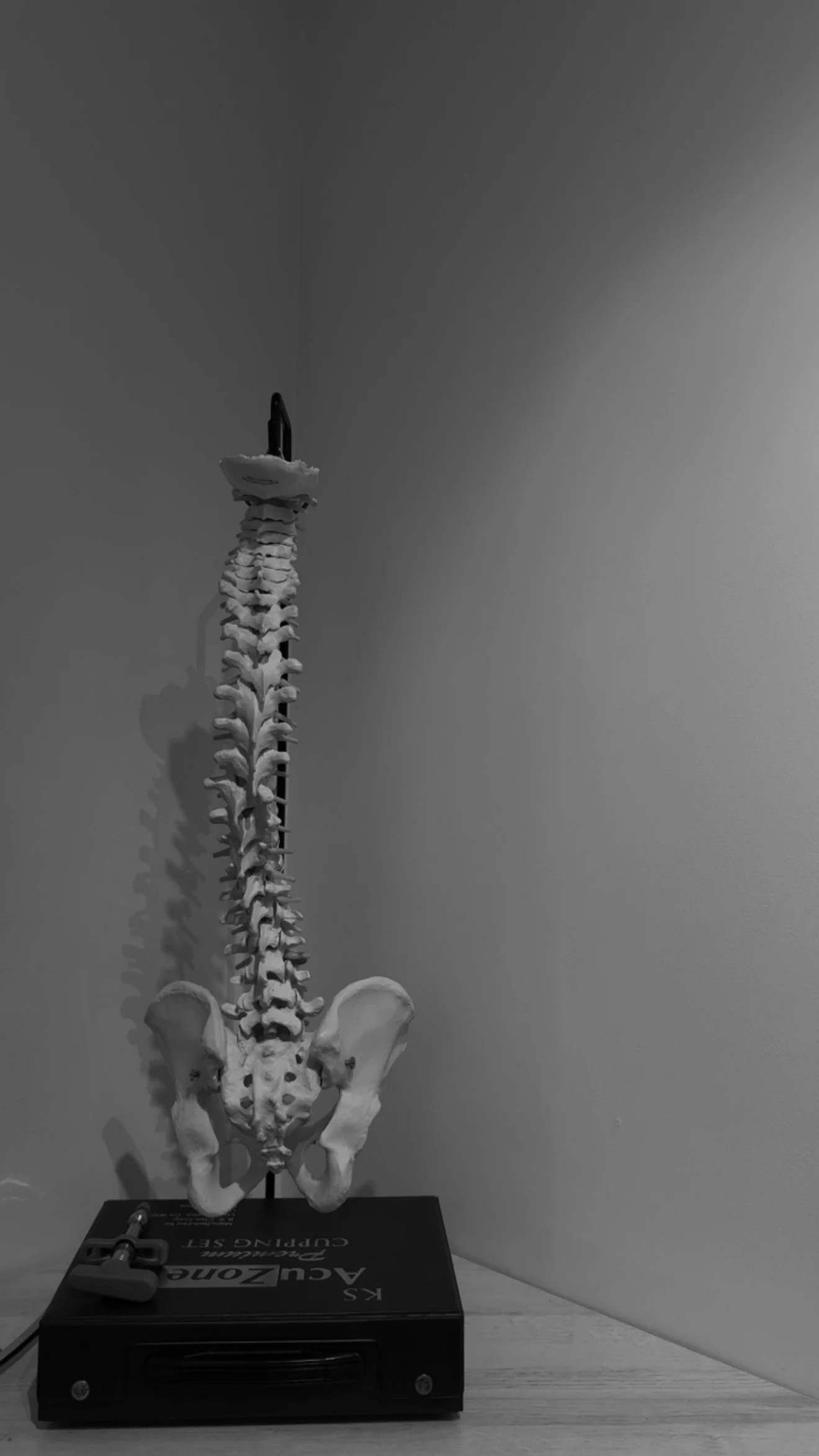 A model of a human skeleton with a skull, pelvis, and spine, mounted on a black box on a wooden surface against plain walls.