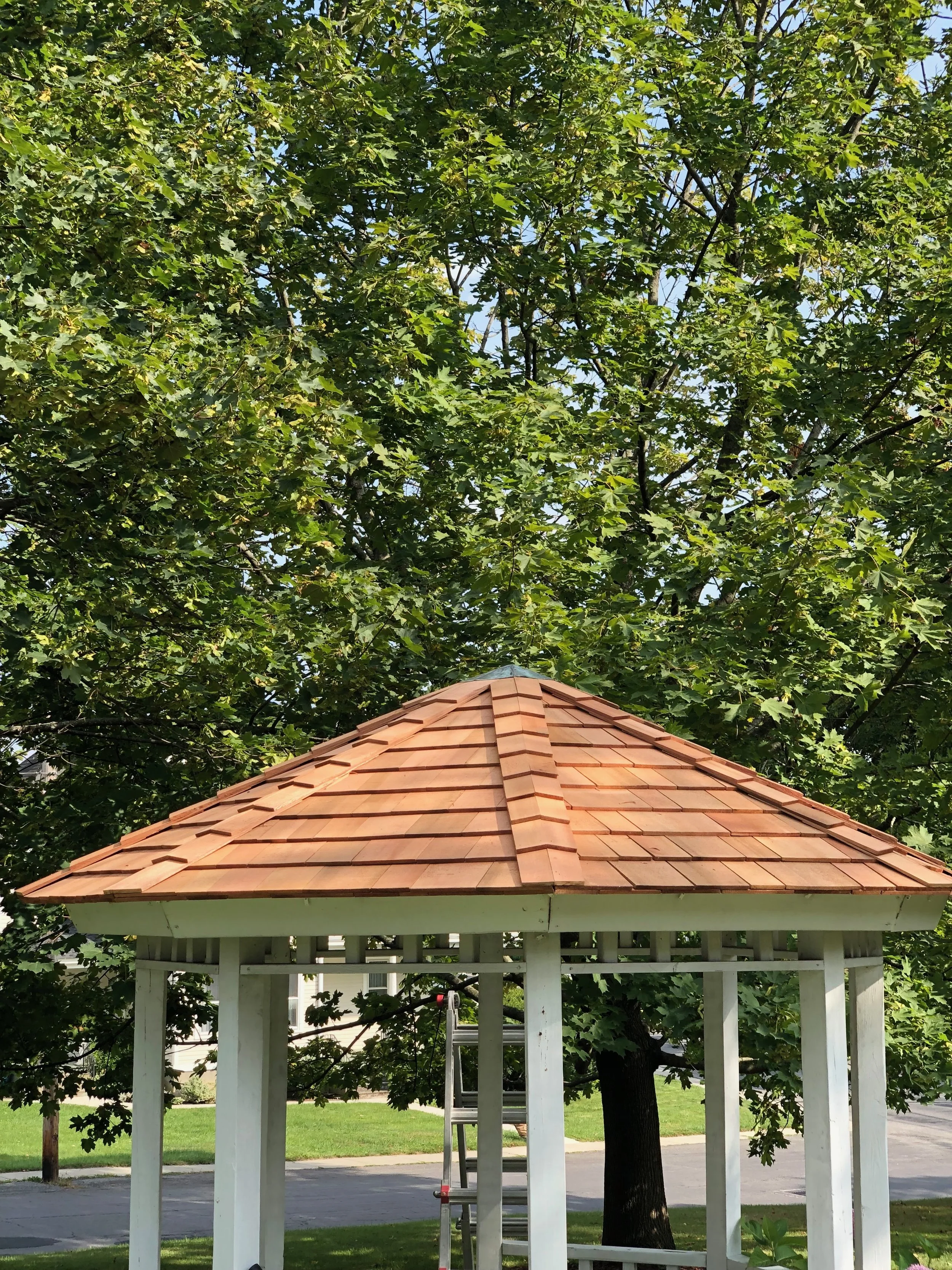 A small wooden pavilion with a red-tiled roof, situated in a park with green trees and grass, and a ladder leaning against it.