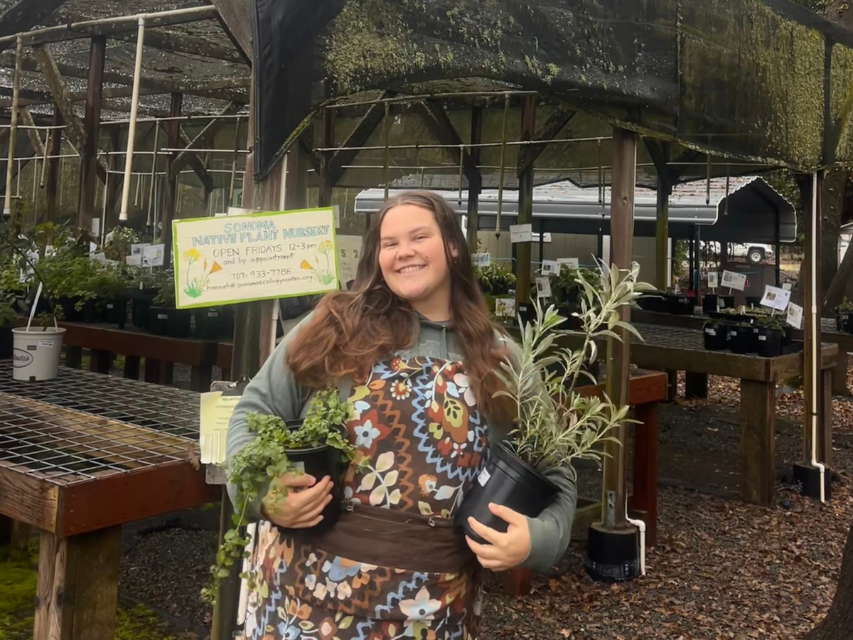 Growing Climate And Community Resilience Through Native Plants