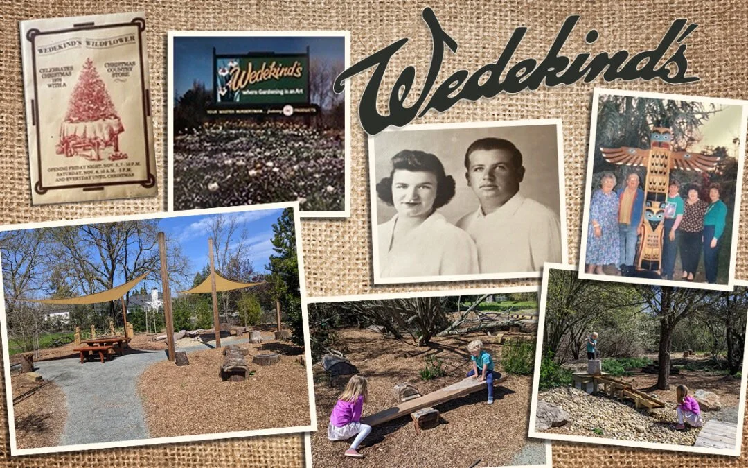 The Wedekind Family: A Legacy of Love, Community, and Giving in Sonoma Valley
