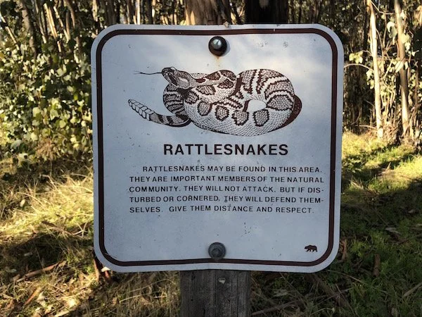The Real Numbers on Rattlesnake Bites