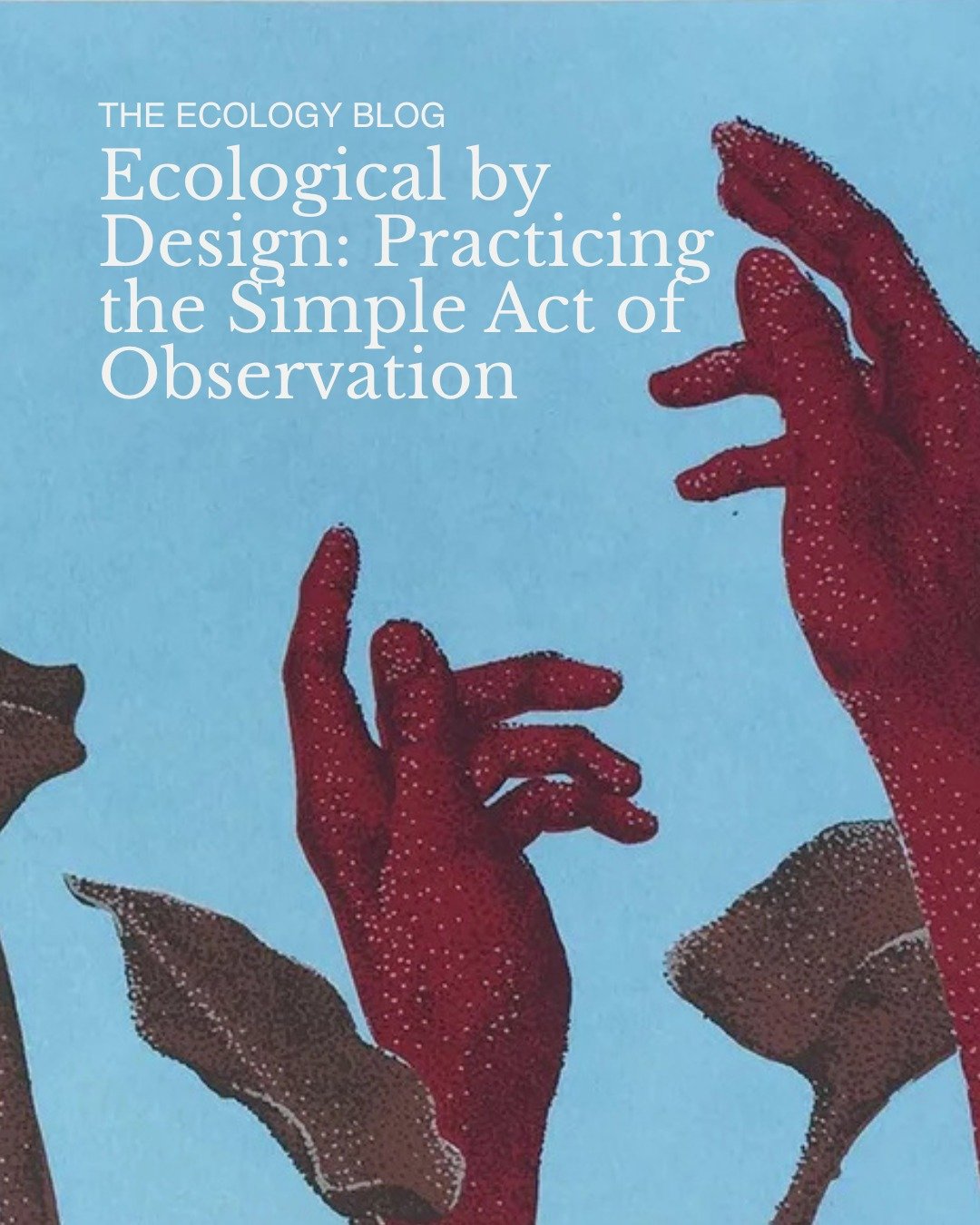 Now on The Ecology Blog, we're bringing artistic expression and environmental stewardship into conversation, as we speak with artists in our community about how their relationship with nature and their creative practice inform one another.

In this f