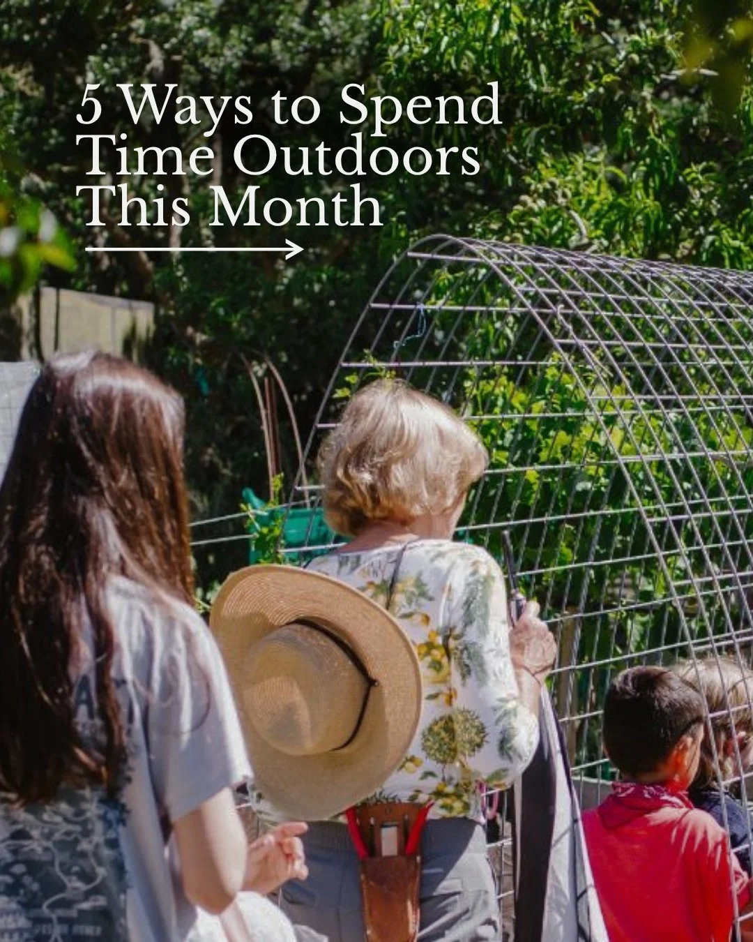 Late summer in Sonoma Valley is best spent outdoors. Juicy stone fruit, abundant leafy greens, community bonds&mdash;this time of year, there's always something growing at Sonoma Garden Park. Swipe through for five ways you can drop in and make the m