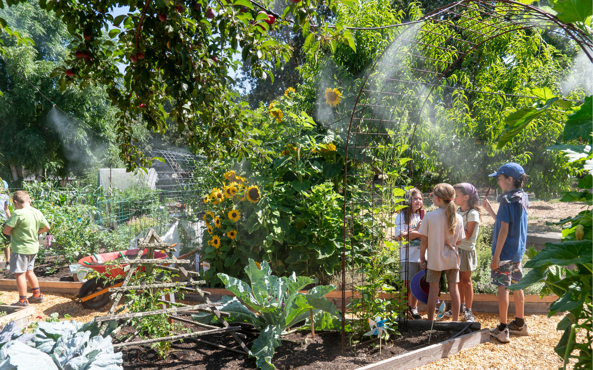 Welcoming Spring at Sonoma Garden Park