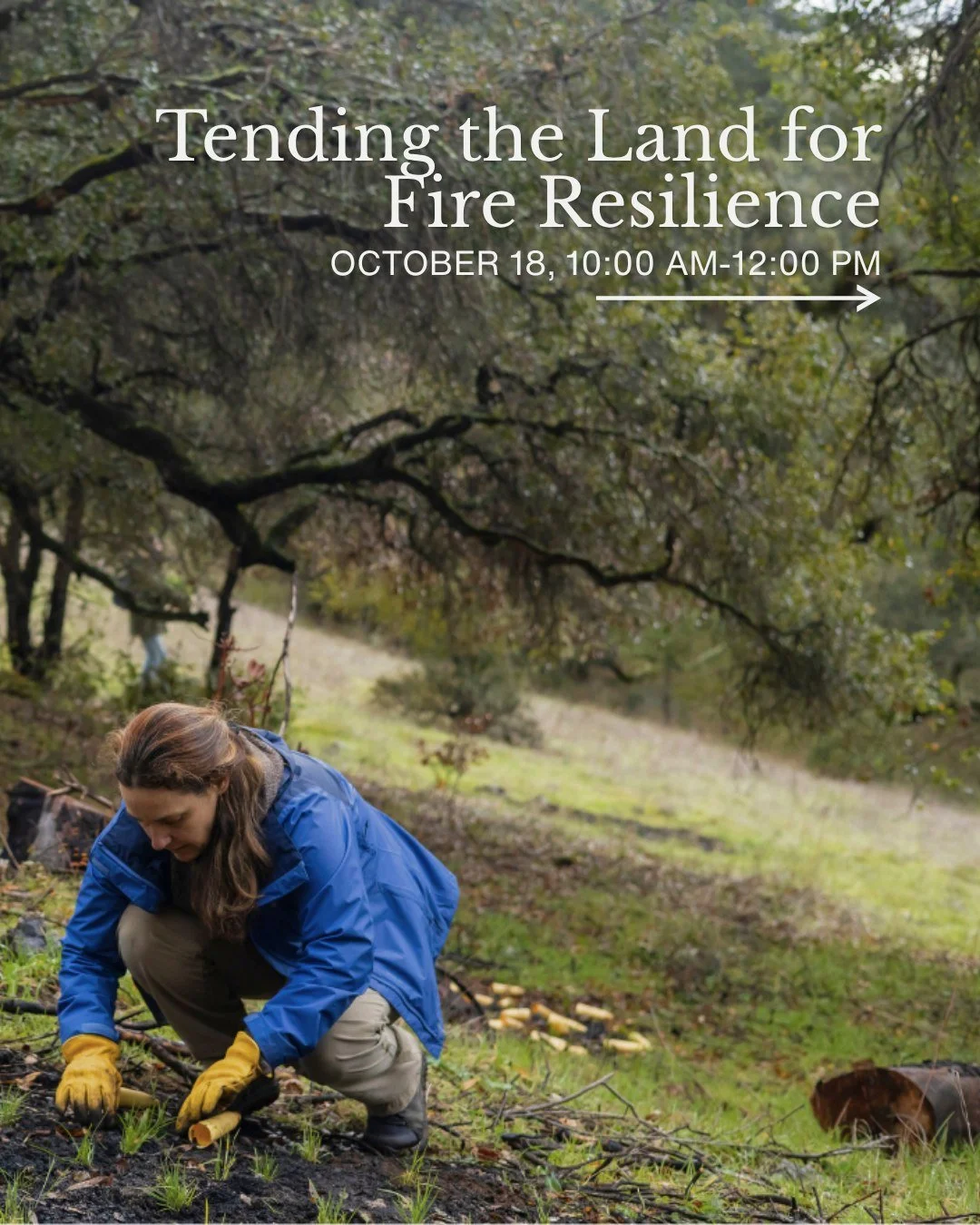 What does it look like to care for the land in ways that support fire resilience? Join Resilient Landscape Coalition and Safer West County for a FREE, hands-on, place-based workshop exploring how thoughtful land stewardship can help communities live 
