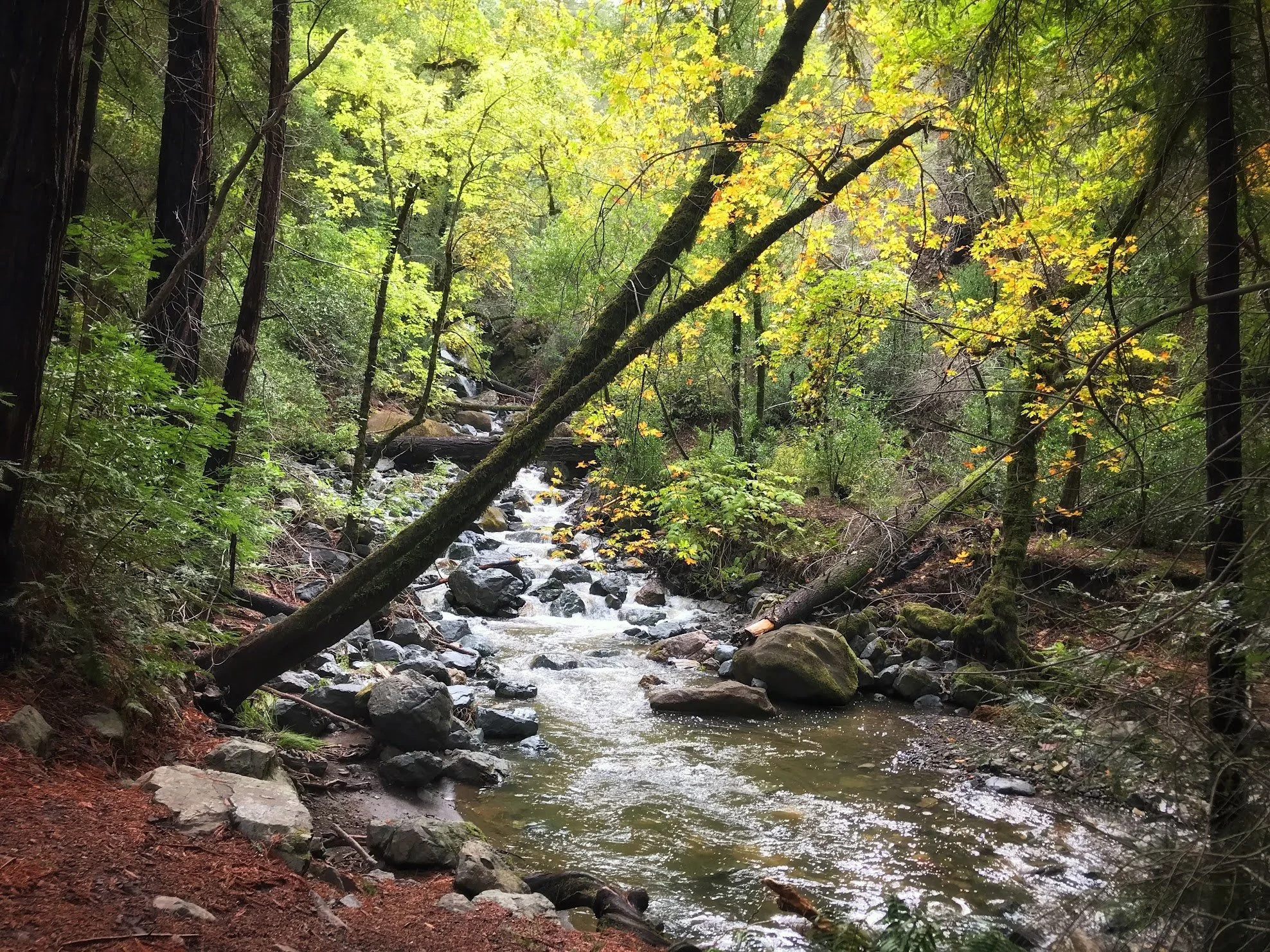 Water Update from SEC Senior Scientist, Steven Lee