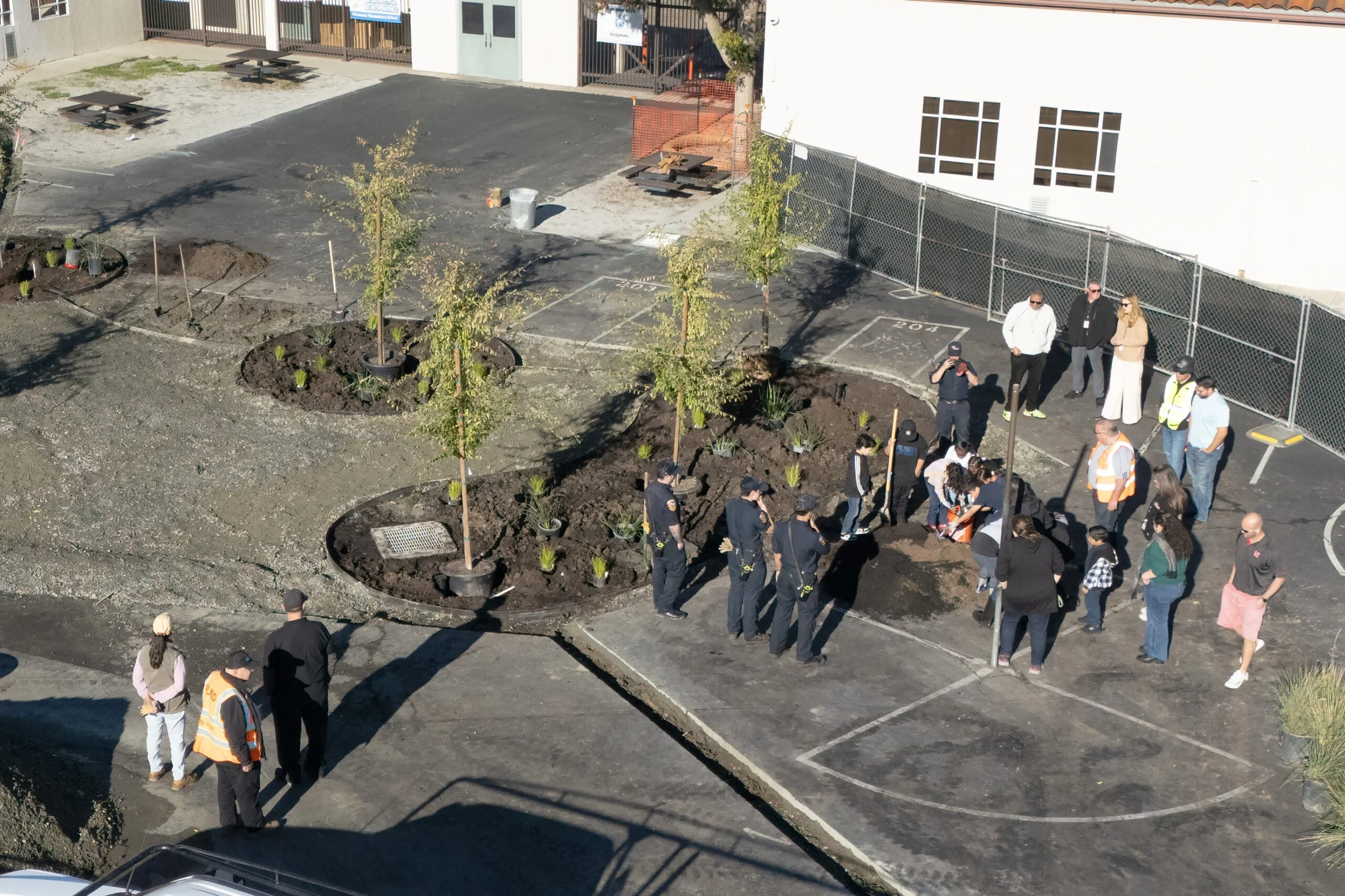 Planting the Seeds of Stewardship at Stoneman Elementary School—an Update on the Green Schoolyards Project