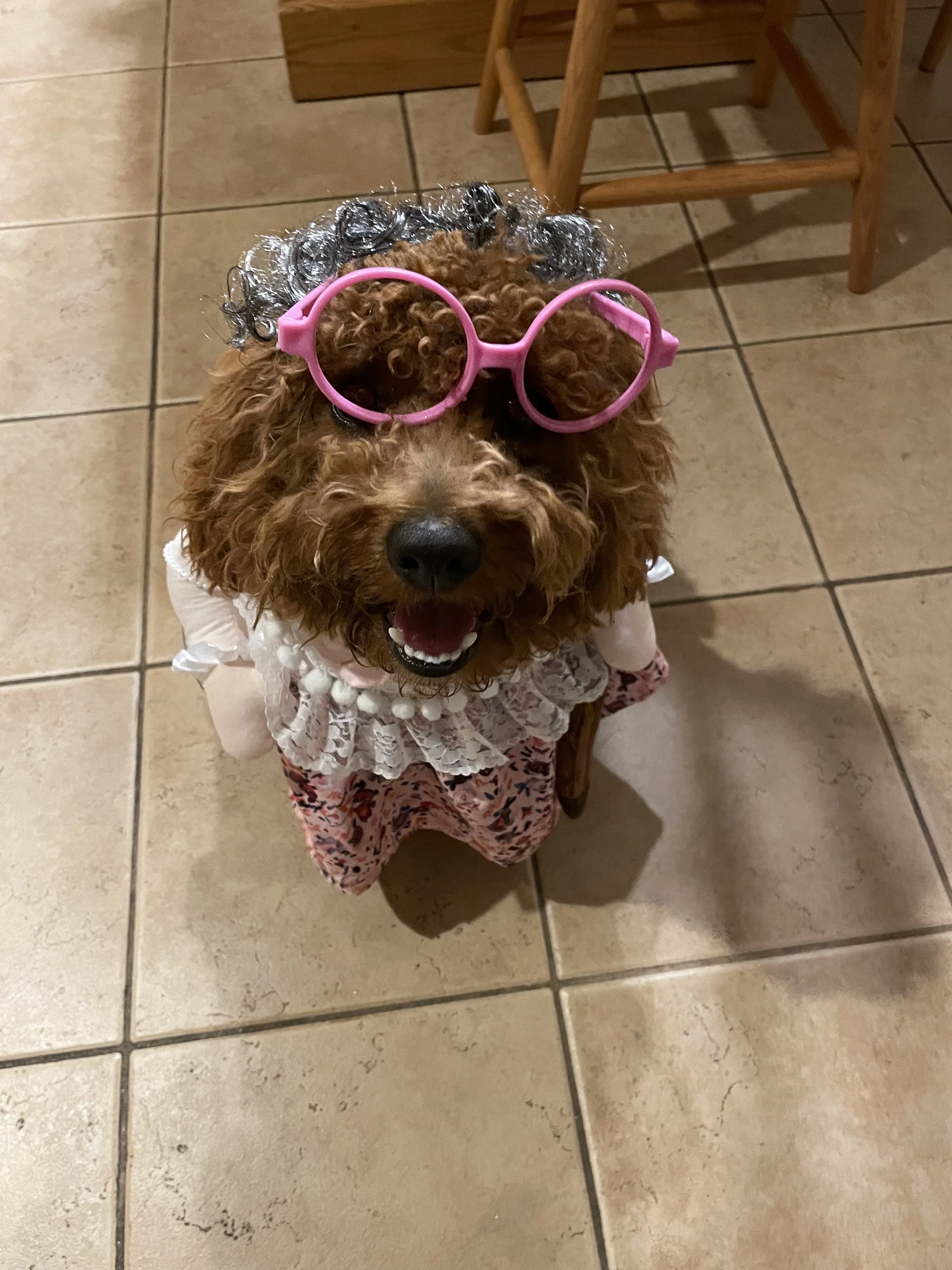 A small curly-haired dog wearing pink sunglasses, a white lace dress, and patterned pants, standing on beige tiled floor in a room with wooden furniture.