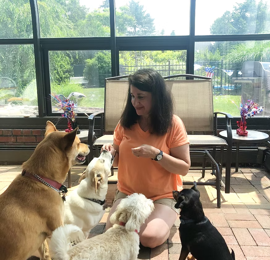 A woman kneeling on the floor and smiling at five dogs in a sunroom with large windows. The dogs are of various breeds and sizes, sitting and standing around her.