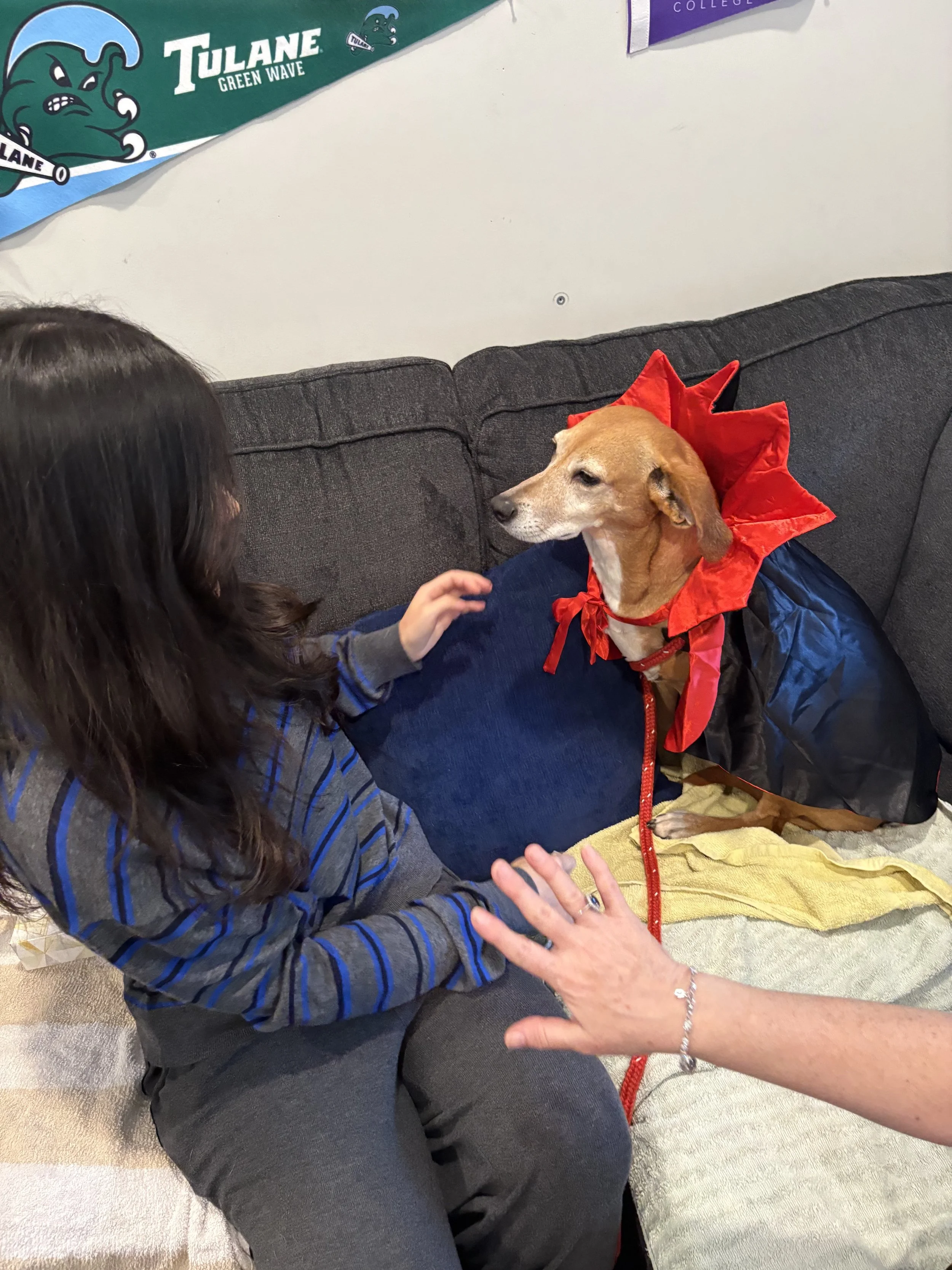 A girl petting a dog dressed in a red costume with a pointed collar and a blue and yellow coat, sitting on a couch in a room decorated with Tulane University banners.