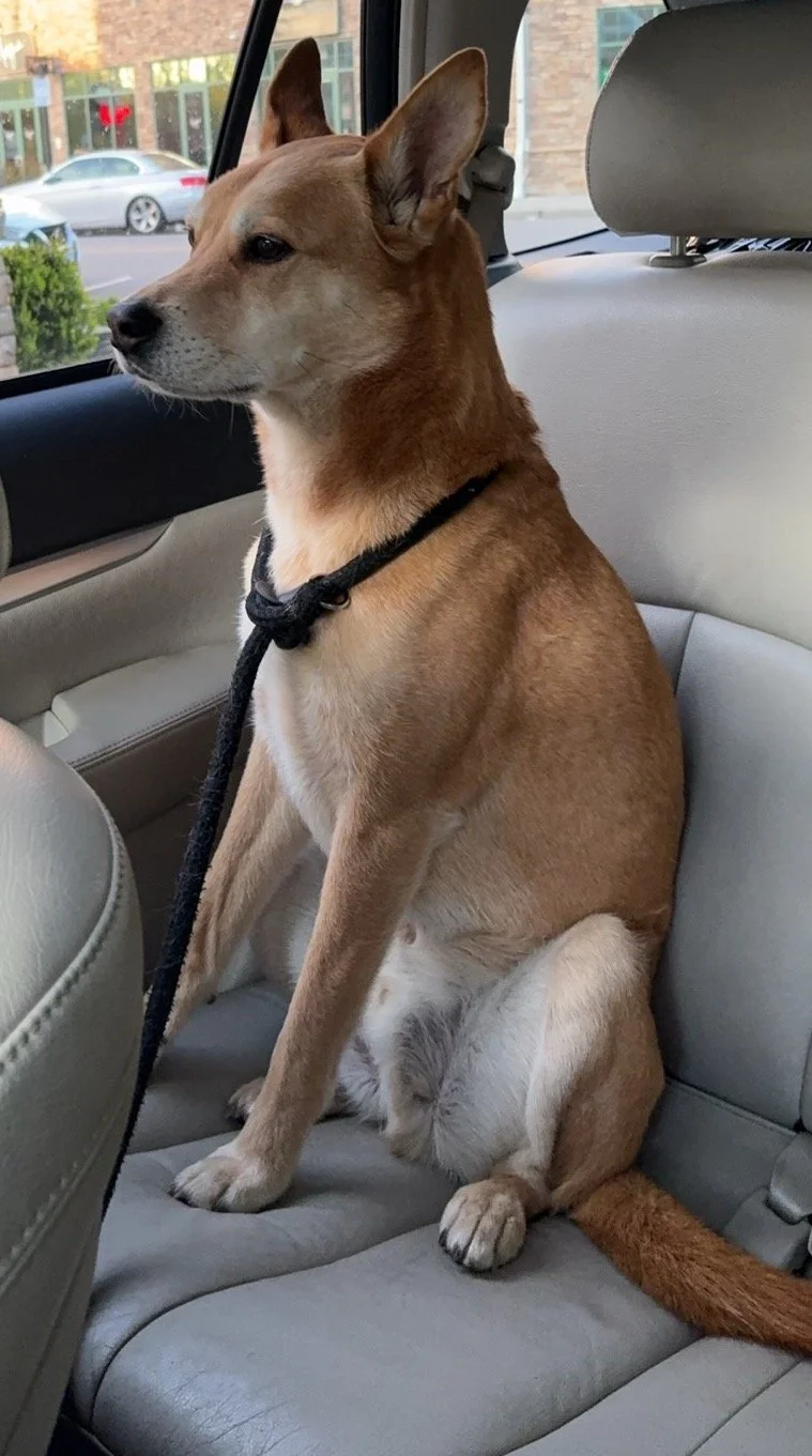 waitingincar.JPEG