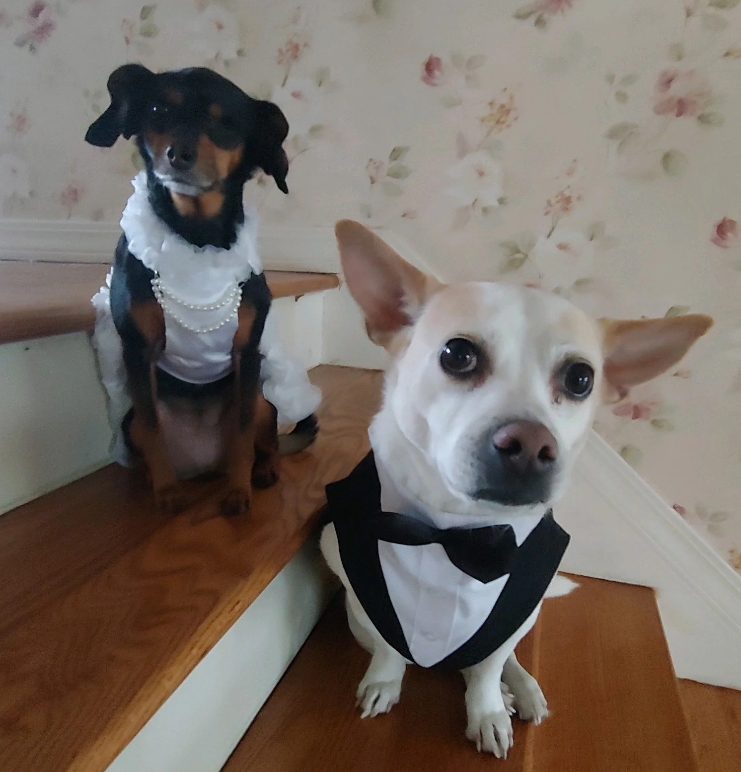 Bride and Groom (1).jpg