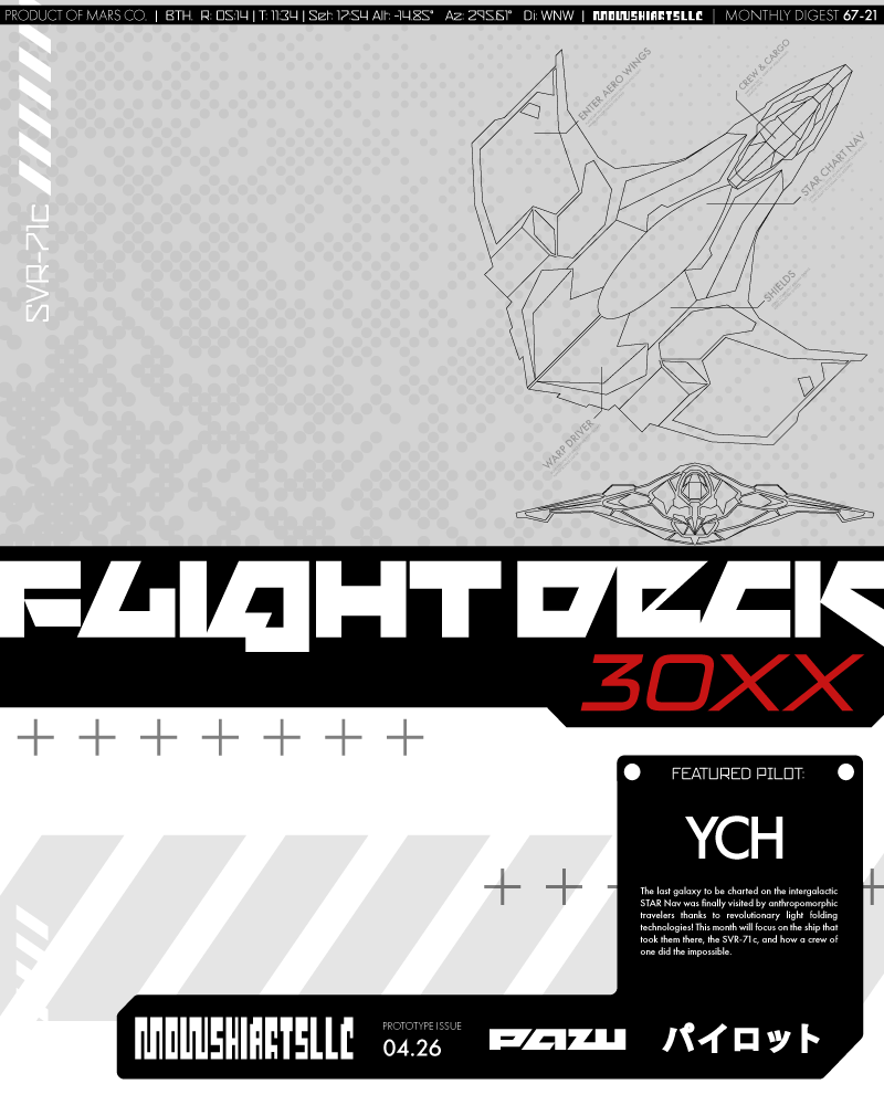 30XX Mag Blank