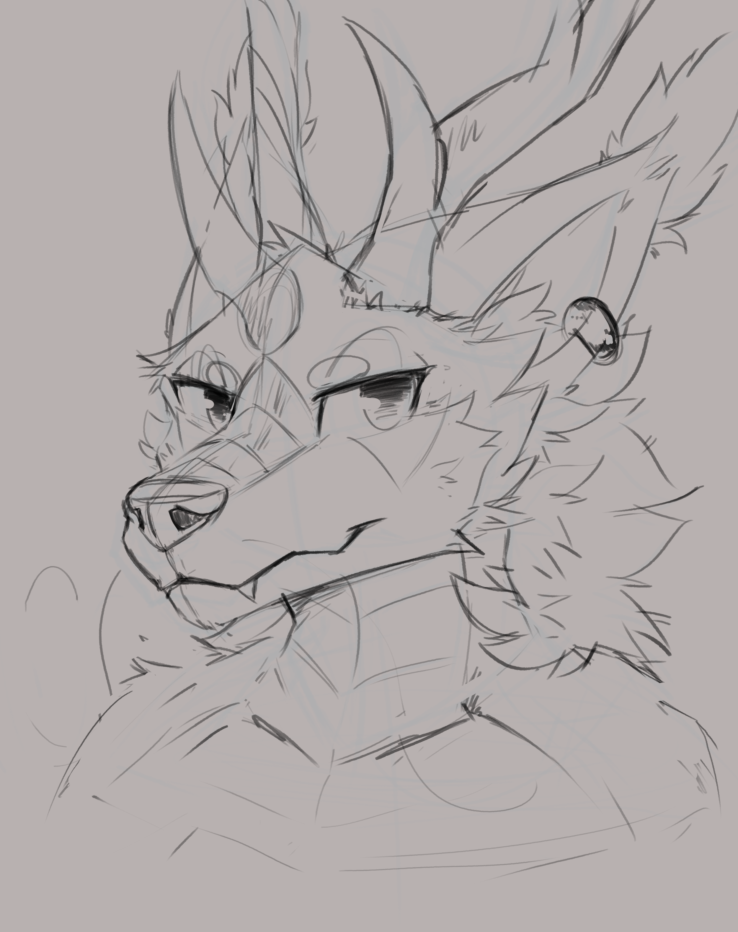 Sketch Layer