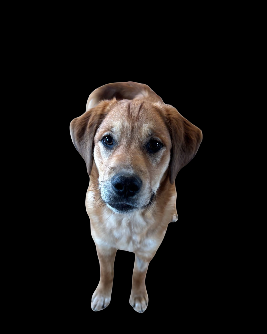 Meet Lena