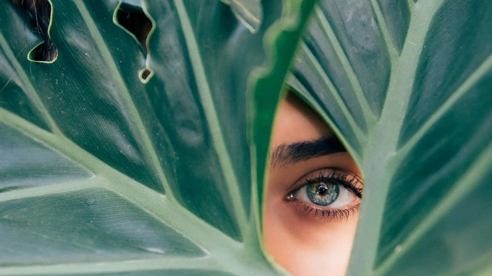 Close-up of a green leaf with a hole, revealing a person's eye behind it.