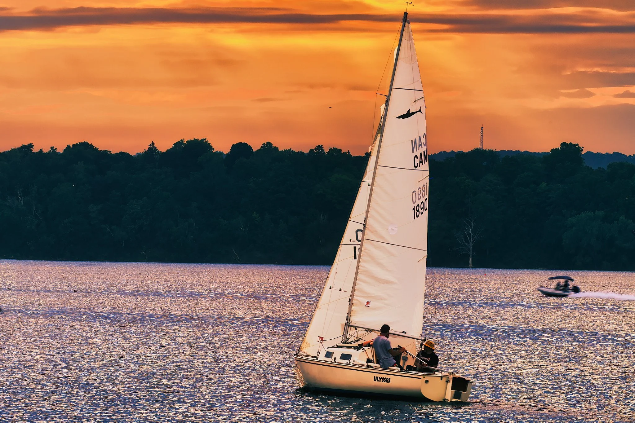 Evening Crossing.jpg