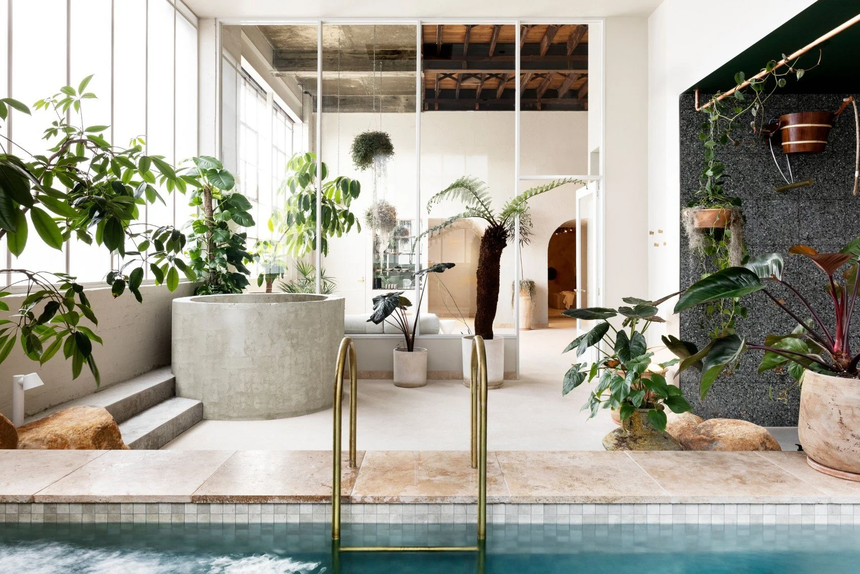 Spa room with a pool in the middle, cold plunge on the left and plants all over