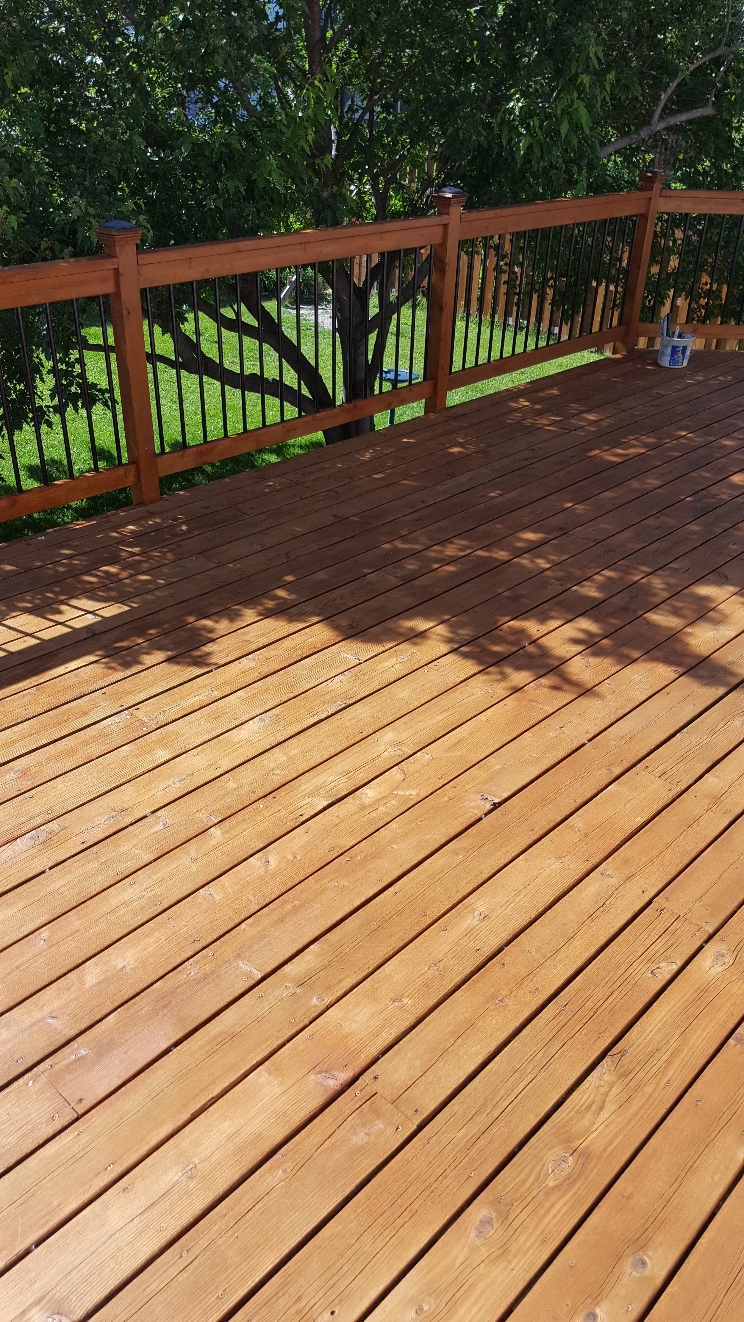 A freshly stained wooden deck with a black metal railing and a large green leafy tree in the background, with a bucket of stain or paint on the deck.