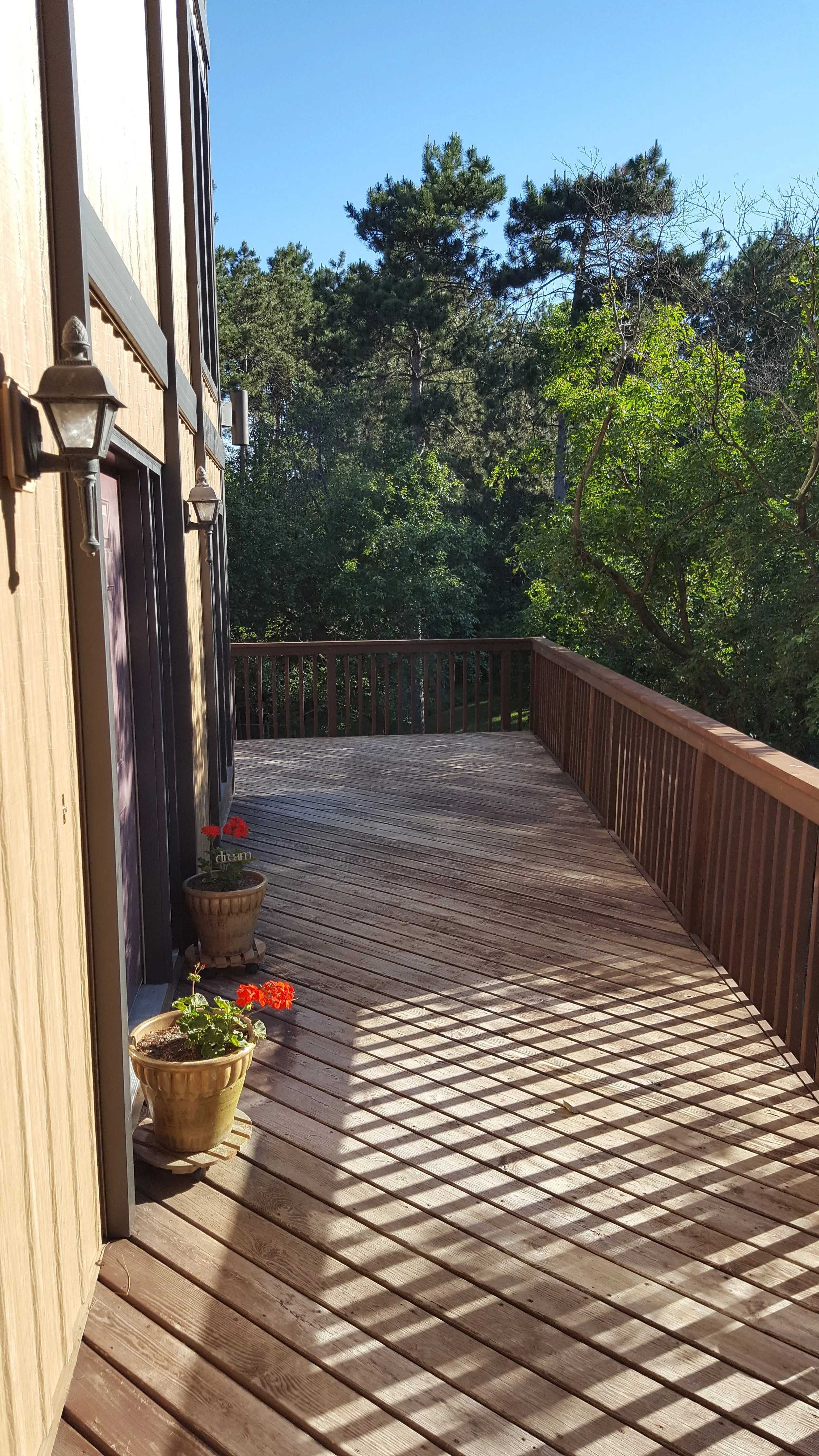 A wooden deck attached to a house, with two flower pots containing red flowers, and shadows cast by the railing. There are trees in the background and a clear blue sky.