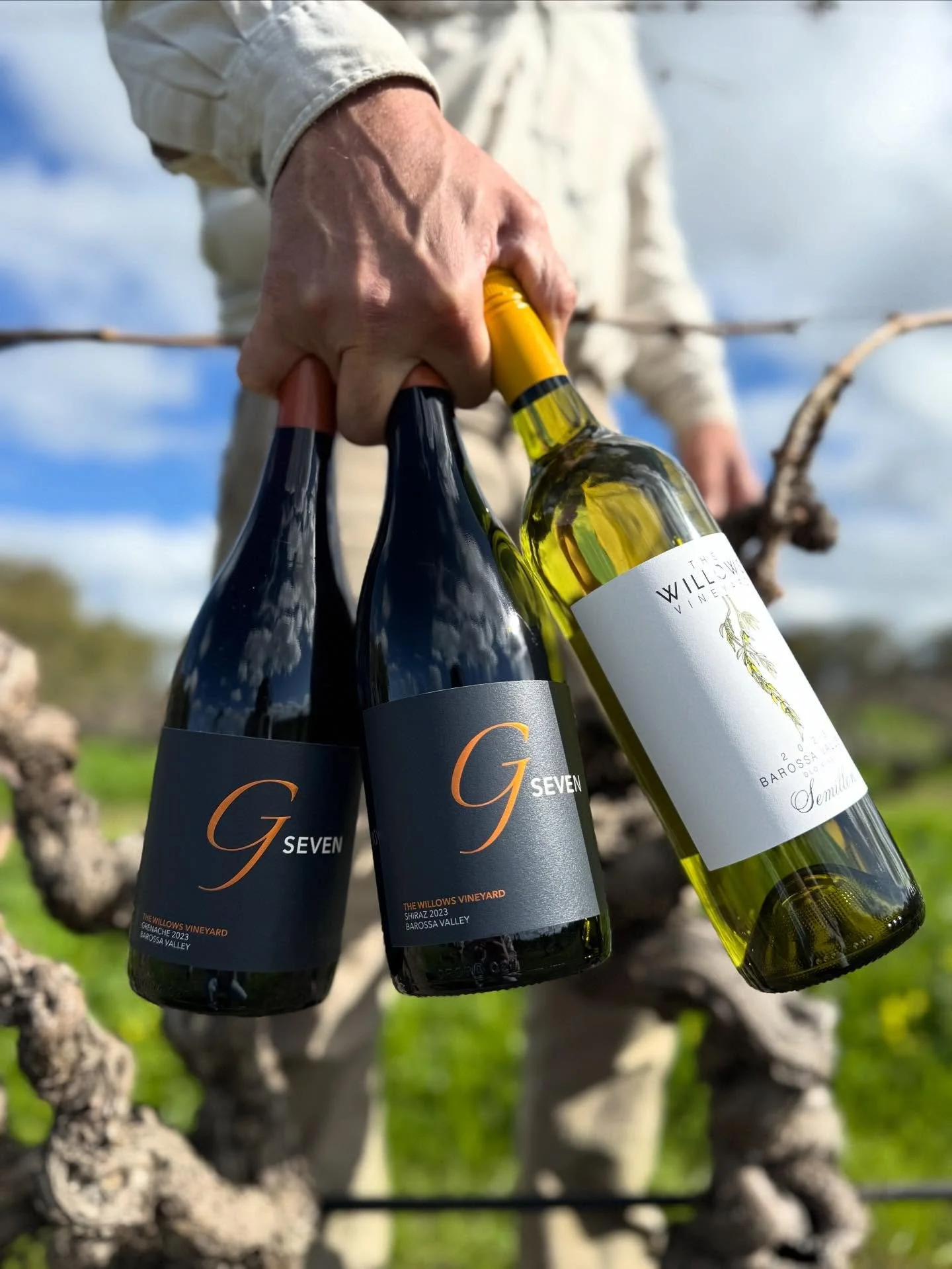 GOLD, GOLD, GOLD, GOLD! 
Very pleased to be awarded 4 gold medals at the recent Barossa Wine Show. 

▫️95 Gold 🥇- 2022 Semillon
▫️95 Gold 🥇- 2024 G Seven Shiraz 
▫️95 Gold 🥇- 2023 G Seven Shiraz 
▫️95 Gold 🥇- 2024 G Seven Grenache 
▫️93 Silver 🥈