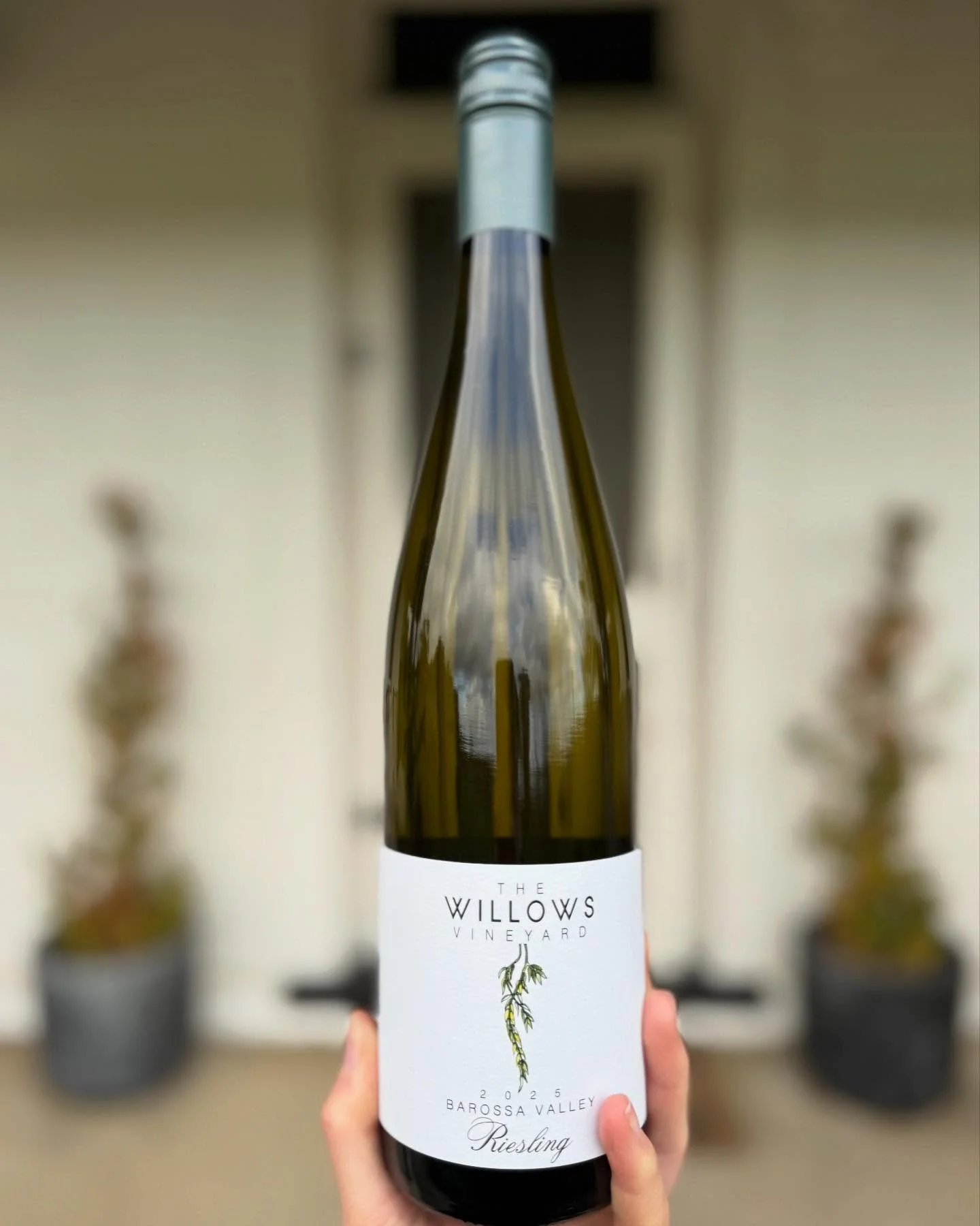 We&rsquo;ve loved welcoming you in to our warm cellar door during this cold weather 🥶

Fires roaring, Traces pickles have been restocked and we&rsquo;ve just released our 2025 Riesling - crisp, vibrant and dangerously refreshing. 

Get in touch or v
