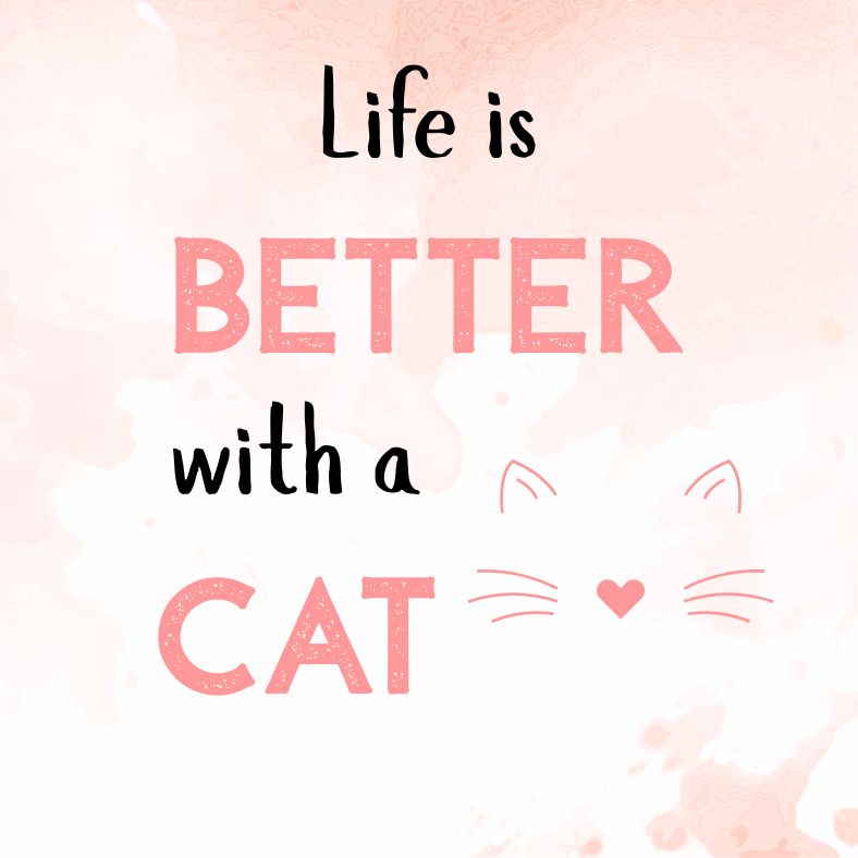 Life Better with CAT.png