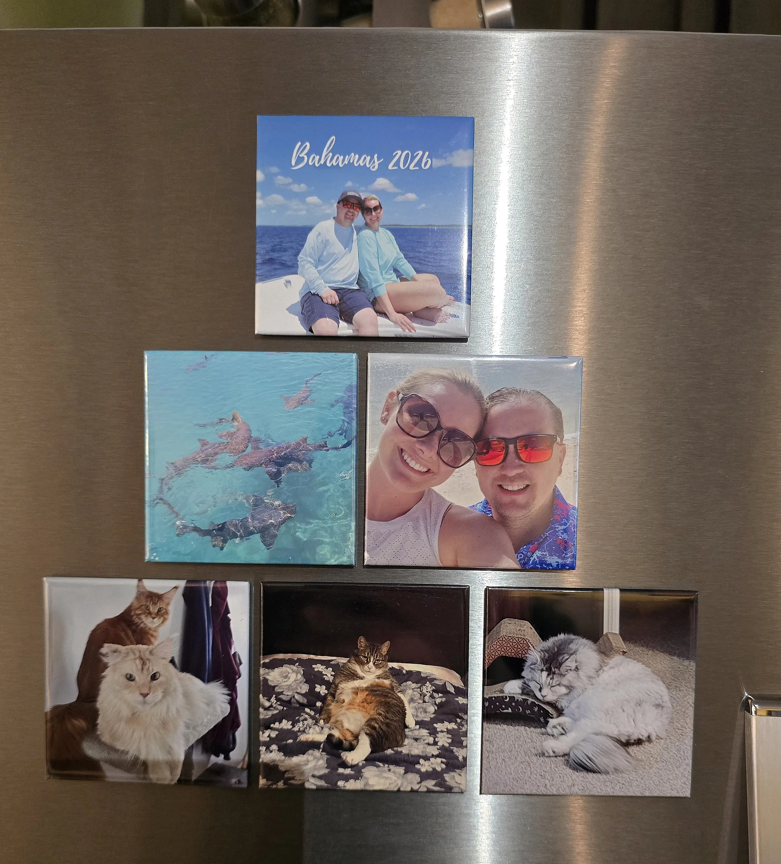 Custom Photo Magnets - 6 pack