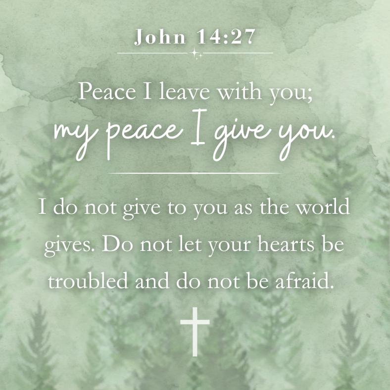John 1427 (1).png