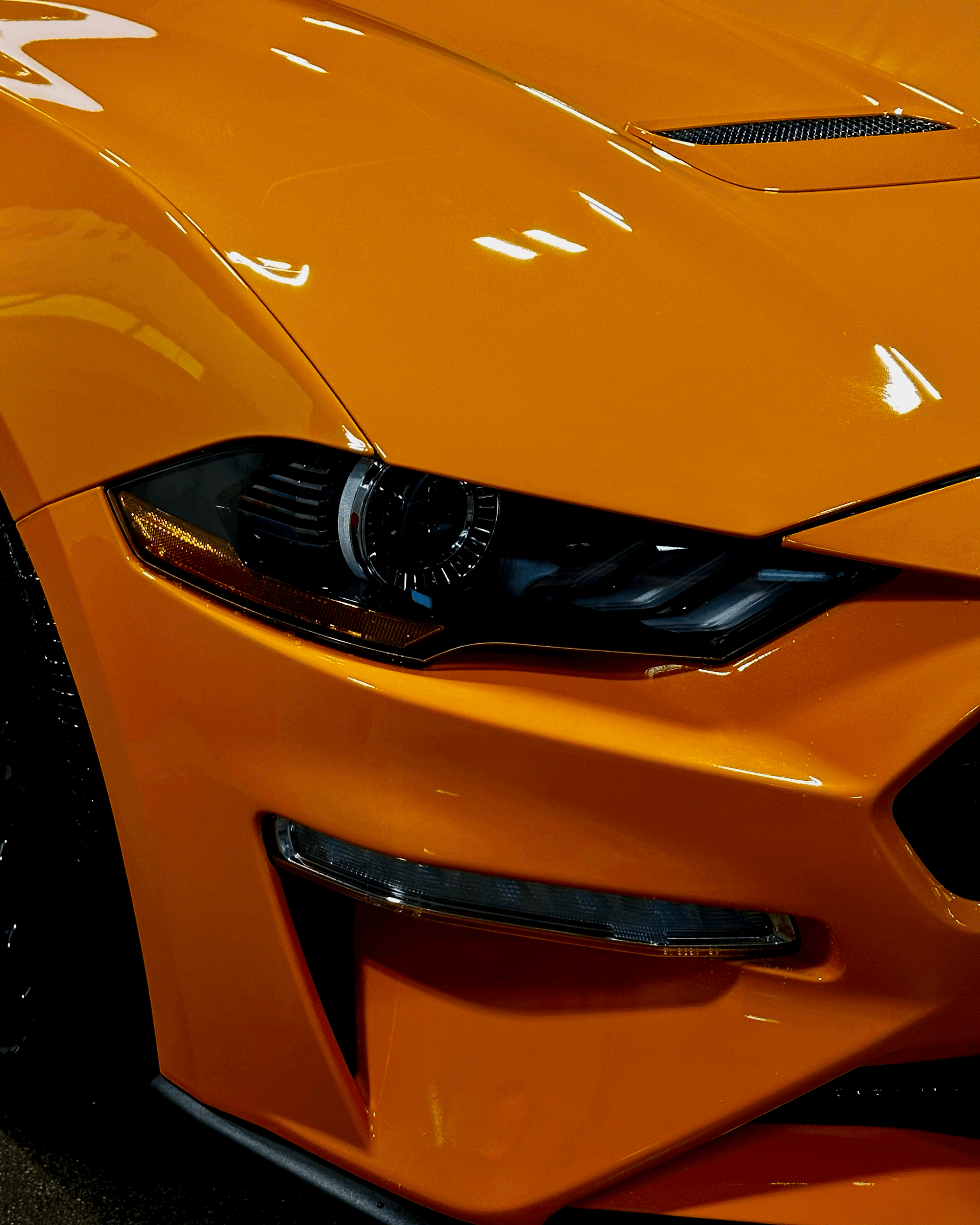 tempImageFr8GqL.gif