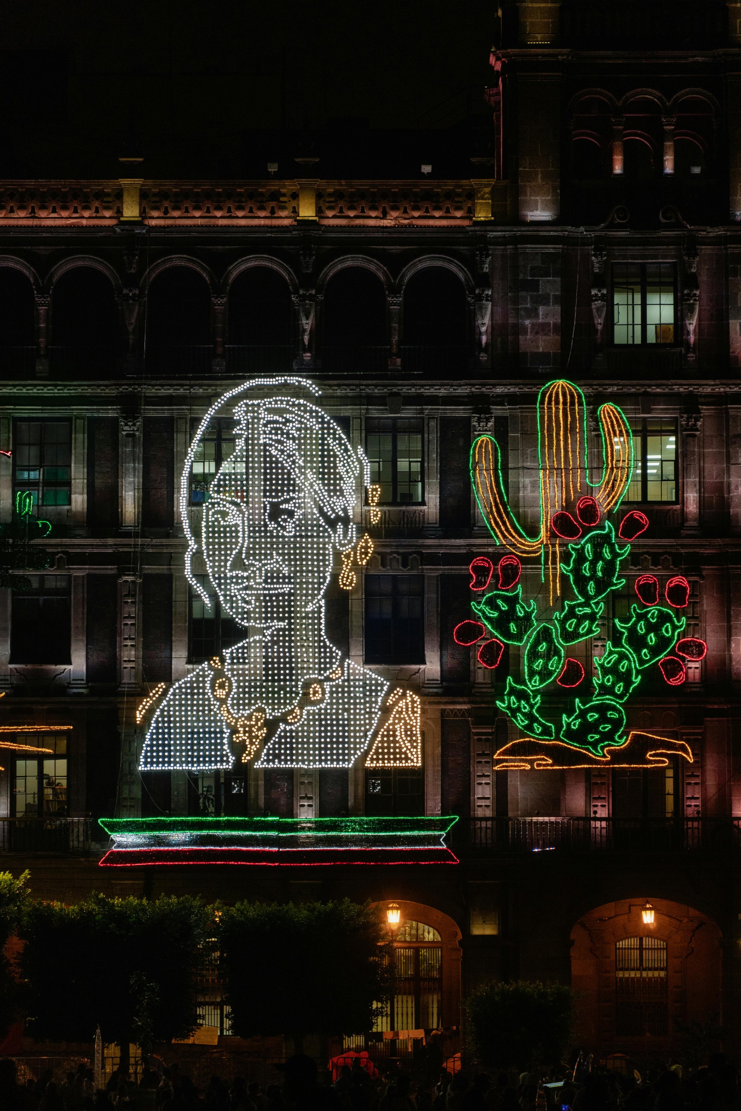Nighttime cityscape with illuminated holiday light display on building facade, featuring a portrait of a woman with short hair and earrings, next to a large cactus with red flowers.