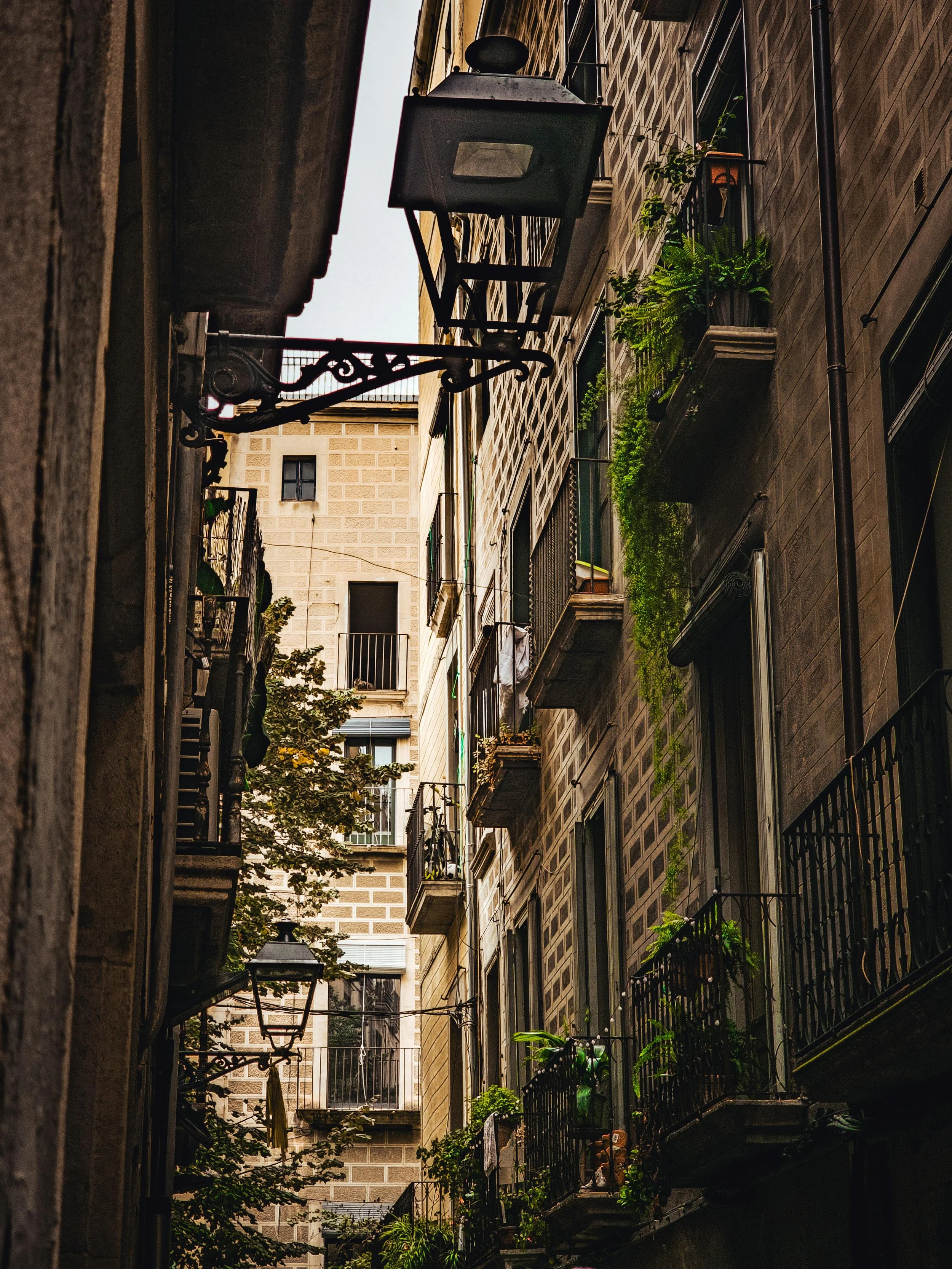 View of a narrow alley between tall apartment buildings with balconies and potted plants, street lamps, and laundry hanging outside windows.
