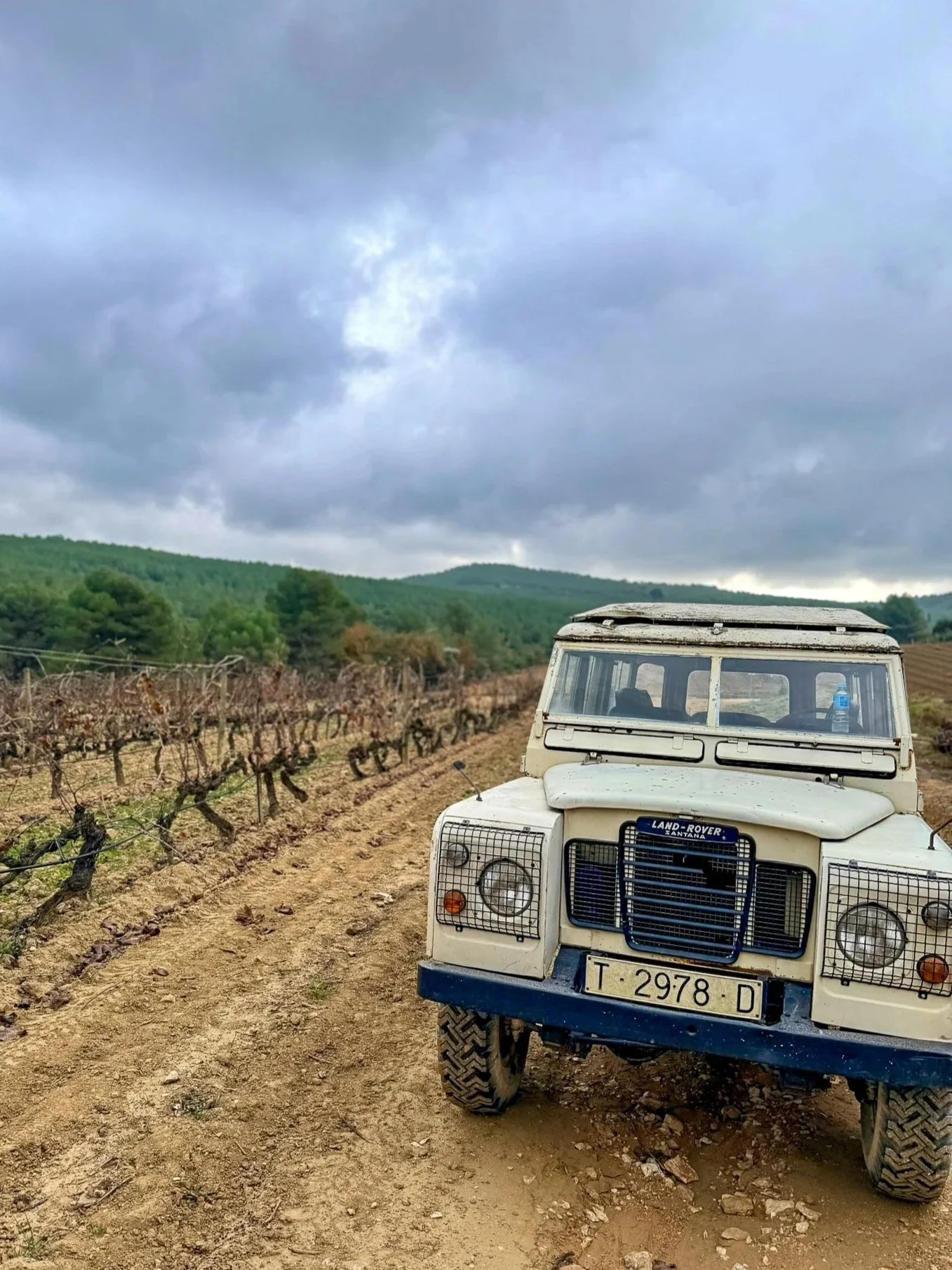 A vintage Land Rover parked on a dirt path in a vineyard with rolling green hills and a cloudy sky in the background.