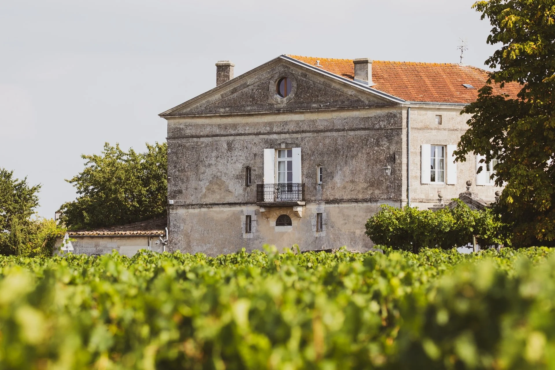 An old stone house surrounded by greenery and a vineyard in the foreground with trees on the sides.