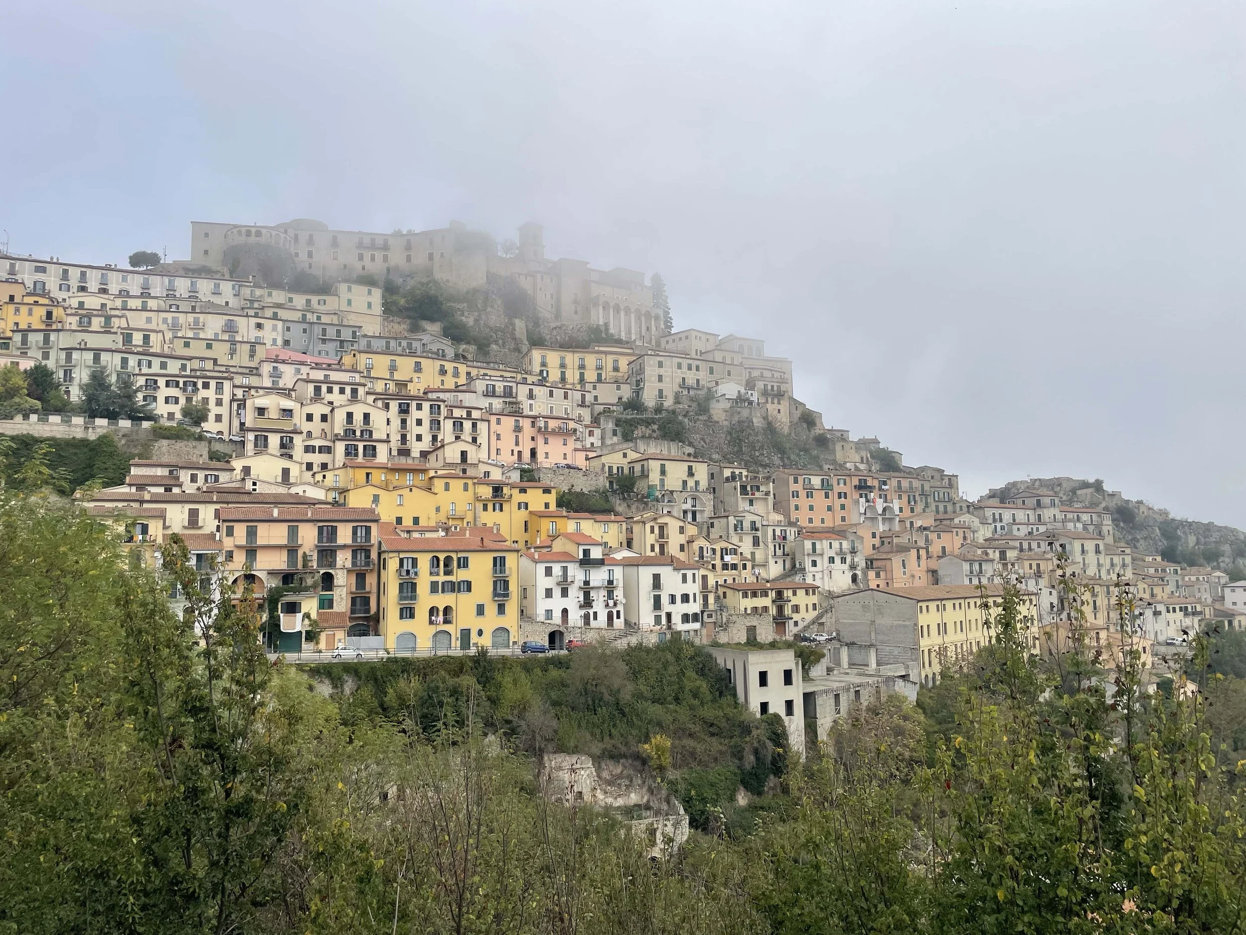 IMG_4915.jpg