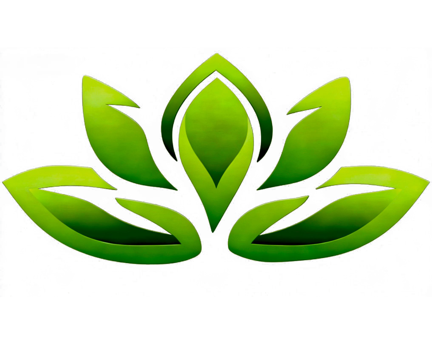 DermaSpring