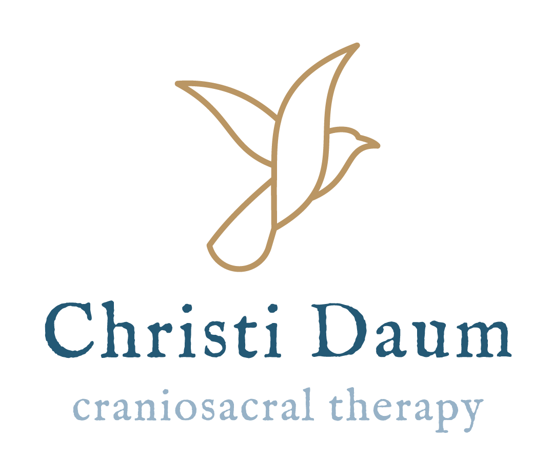 Christi Daum