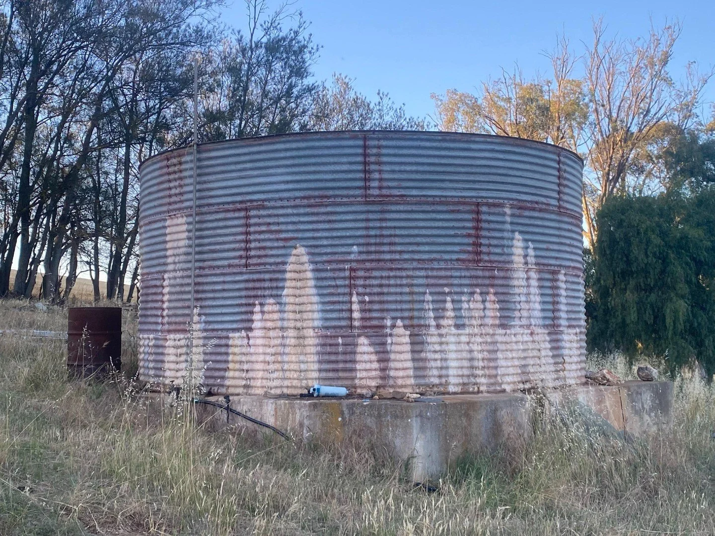 💧 Did you know?
Regular rainwater tank cleaning helps improve water quality, protect your pump, and extend the life of your entire system.
A clean tank means better-quality water for your home &mdash; and fewer hidden problems down the track. 🐸✨
Co