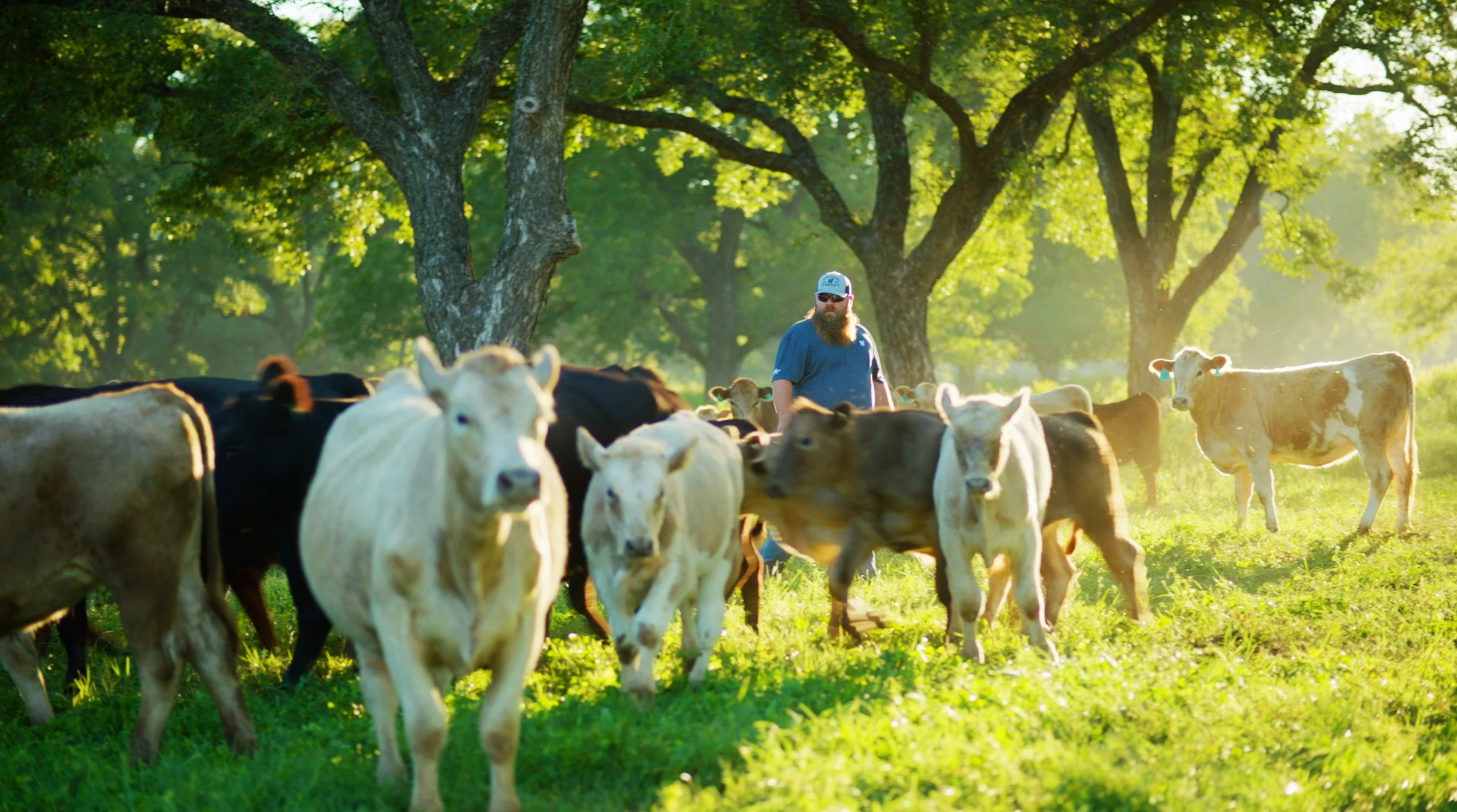Social Edit for an Agricultural Award 
